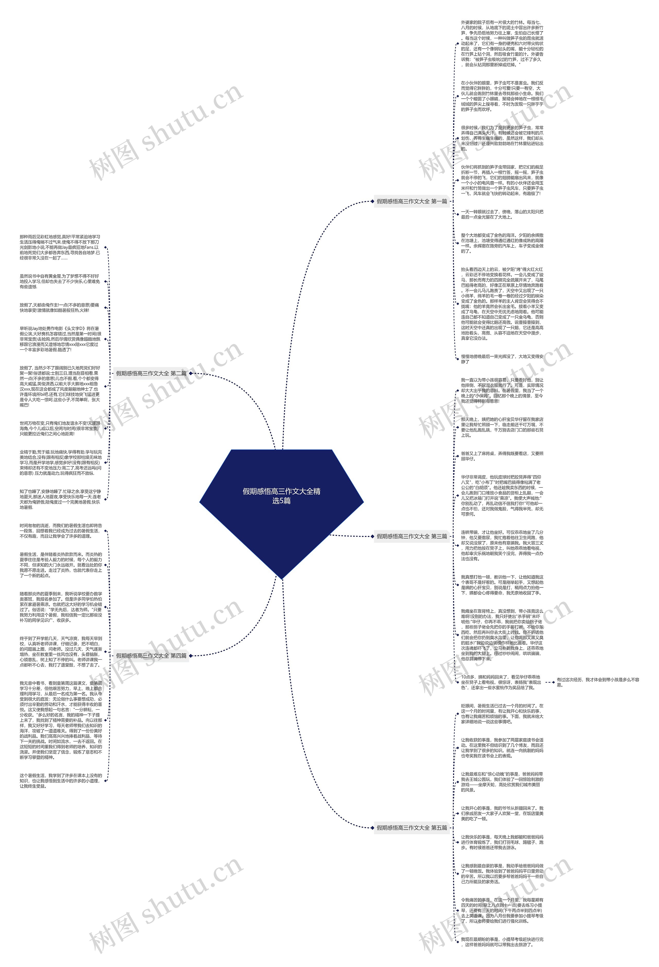假期感悟高三作文大全精选5篇思维导图