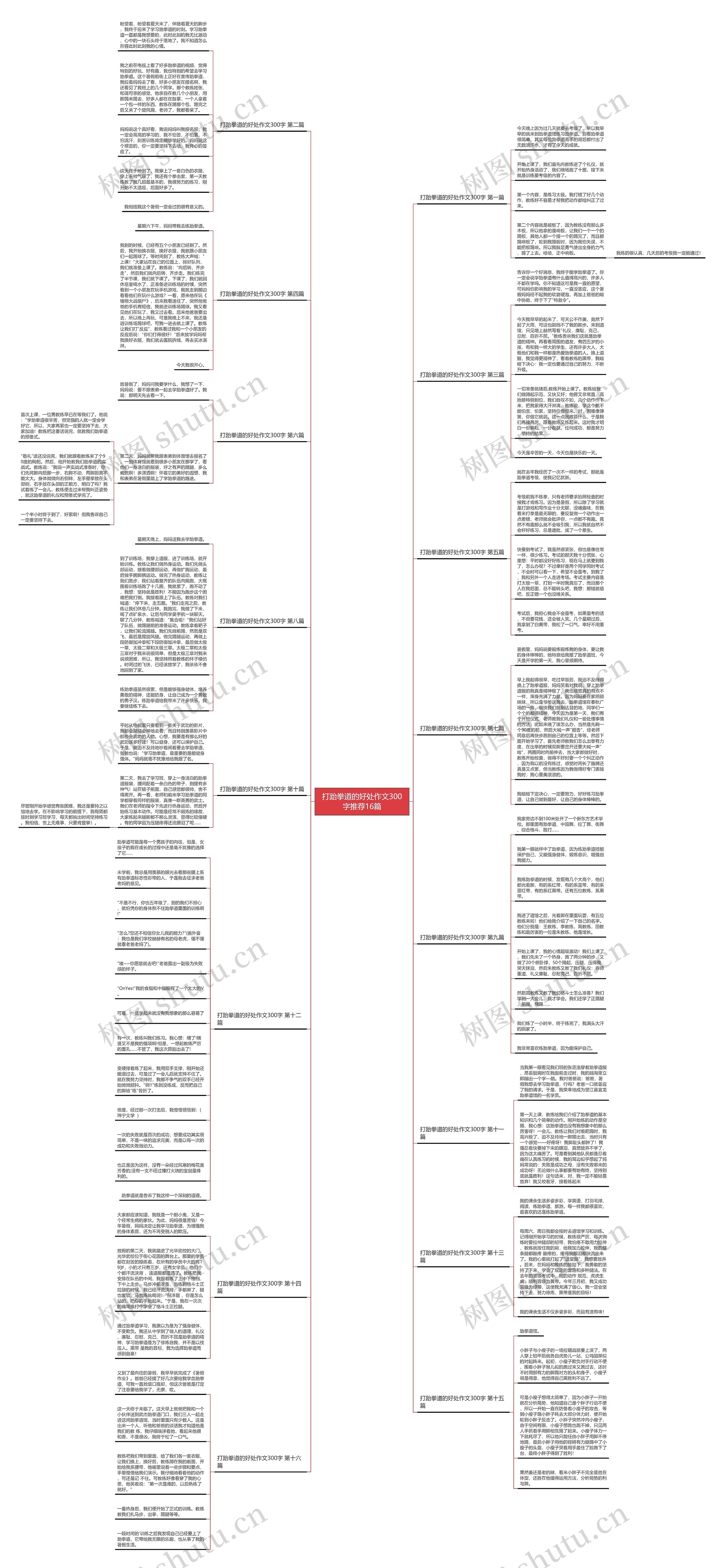 打跆拳道的好处作文300字推荐16篇思维导图