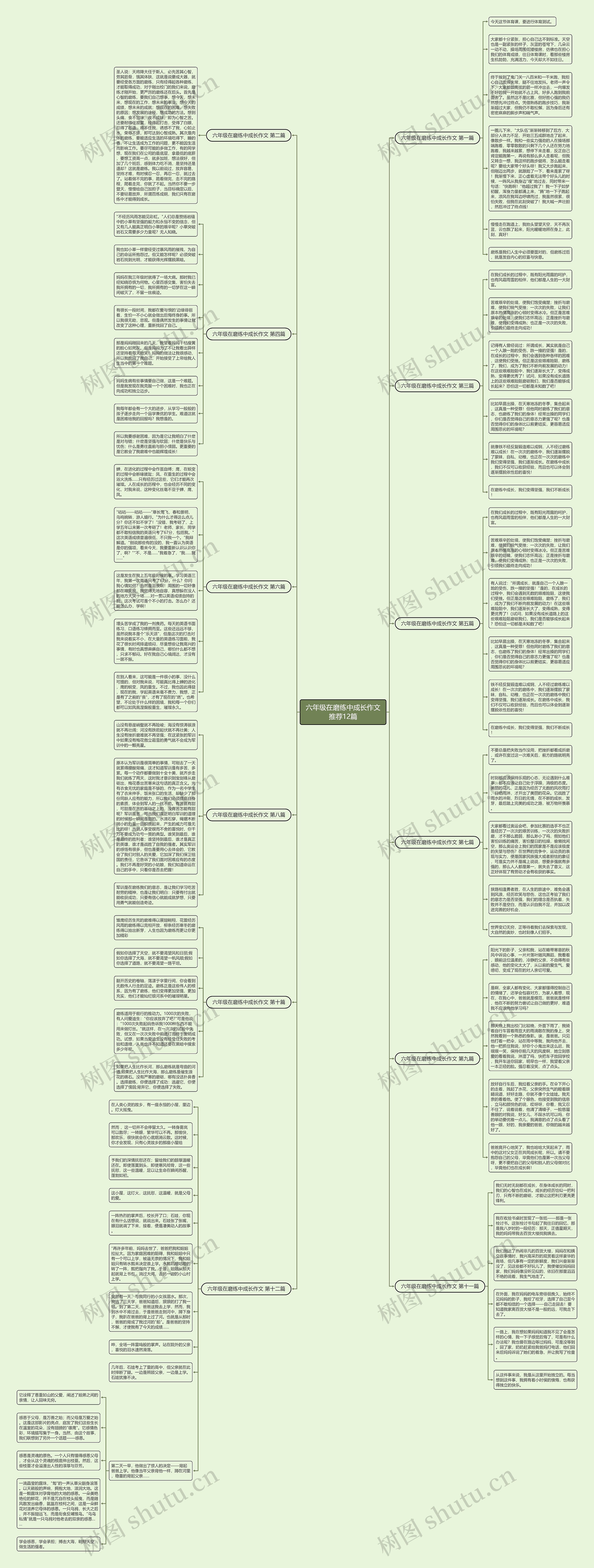 六年级在磨练中成长作文推荐12篇思维导图