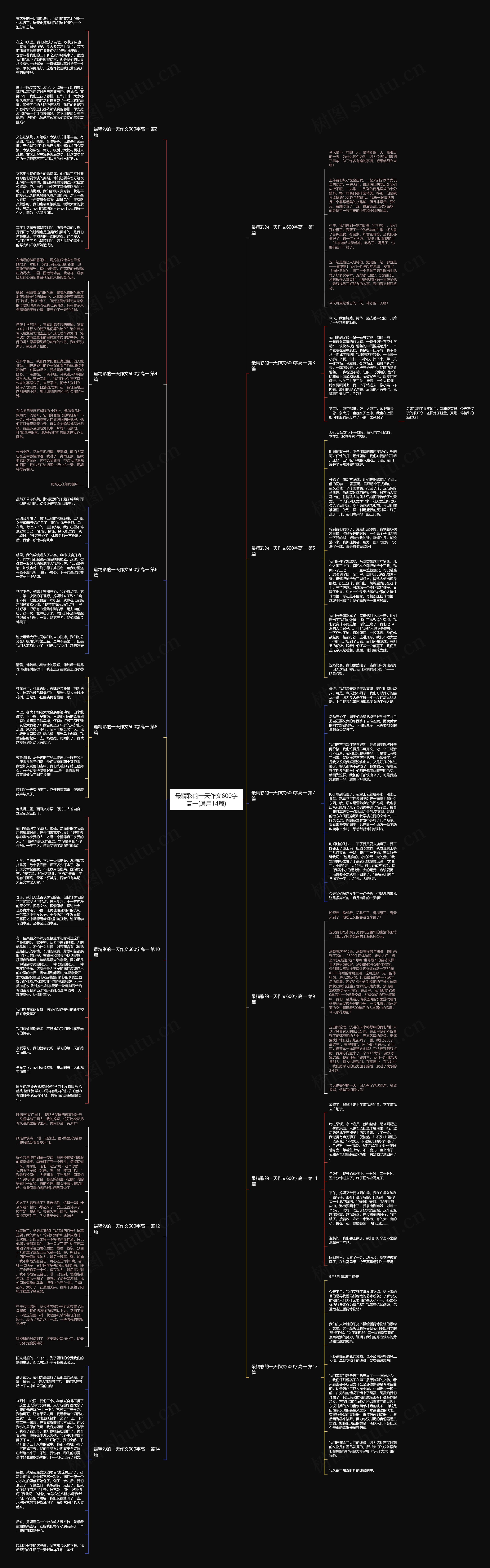 最精彩的一天作文600字高一(通用14篇)思维导图