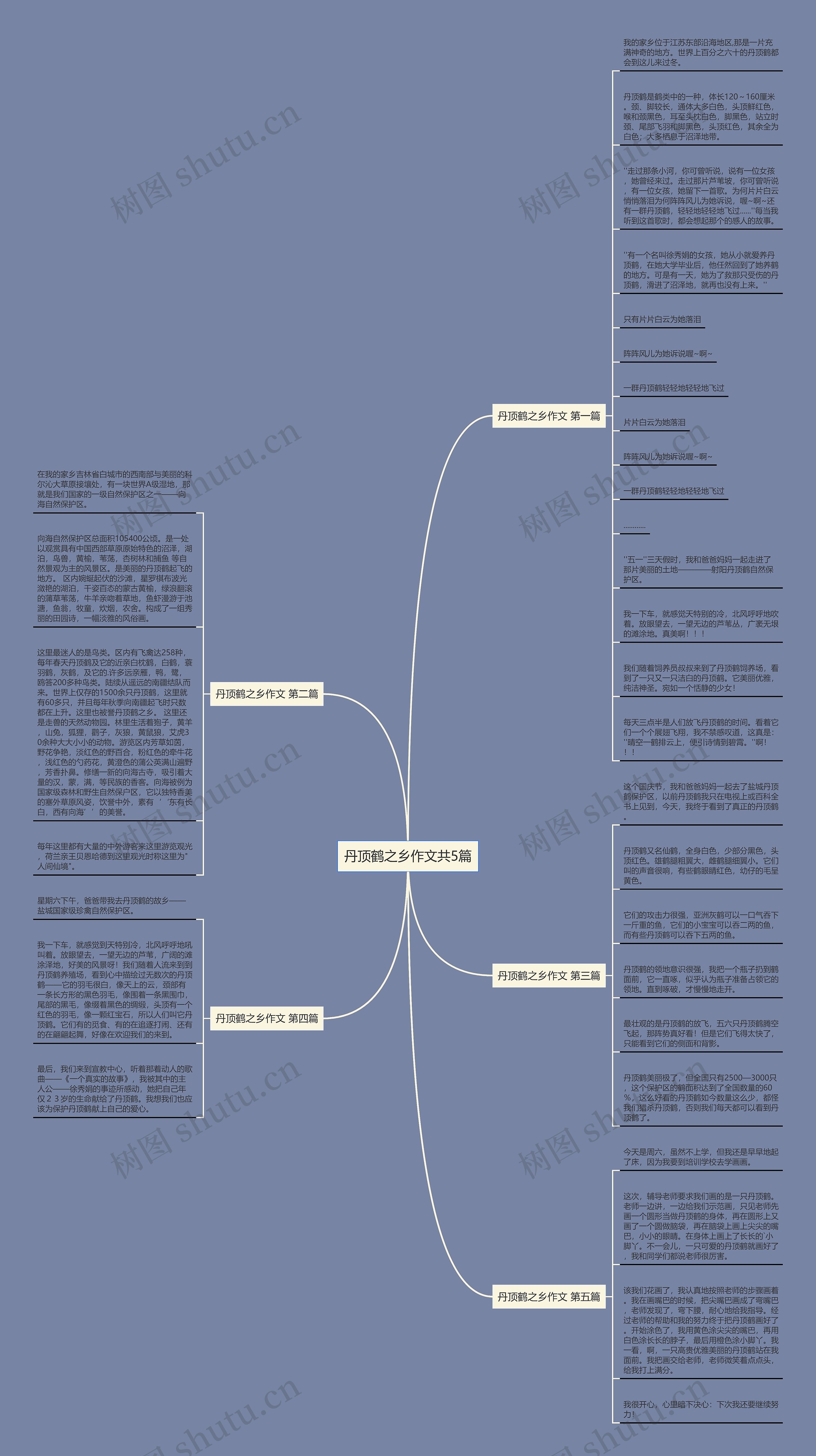 丹顶鹤之乡作文共5篇 丹顶鹤之乡作文共5篇
