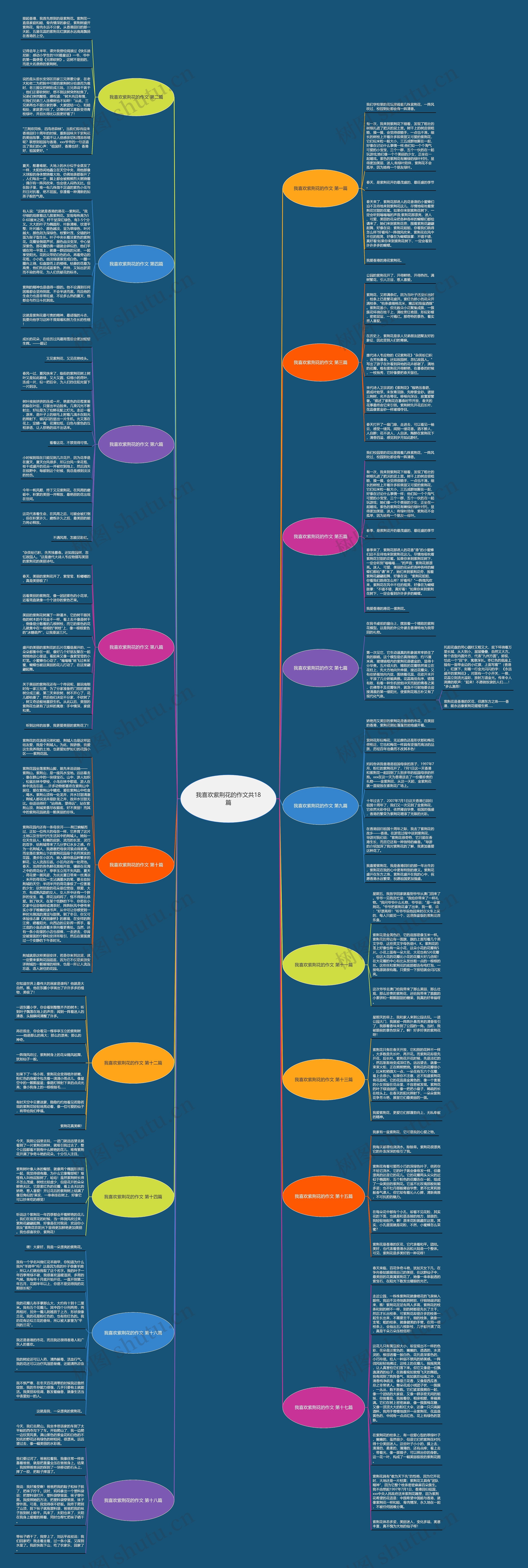 我喜欢紫荆花的作文共18篇思维导图