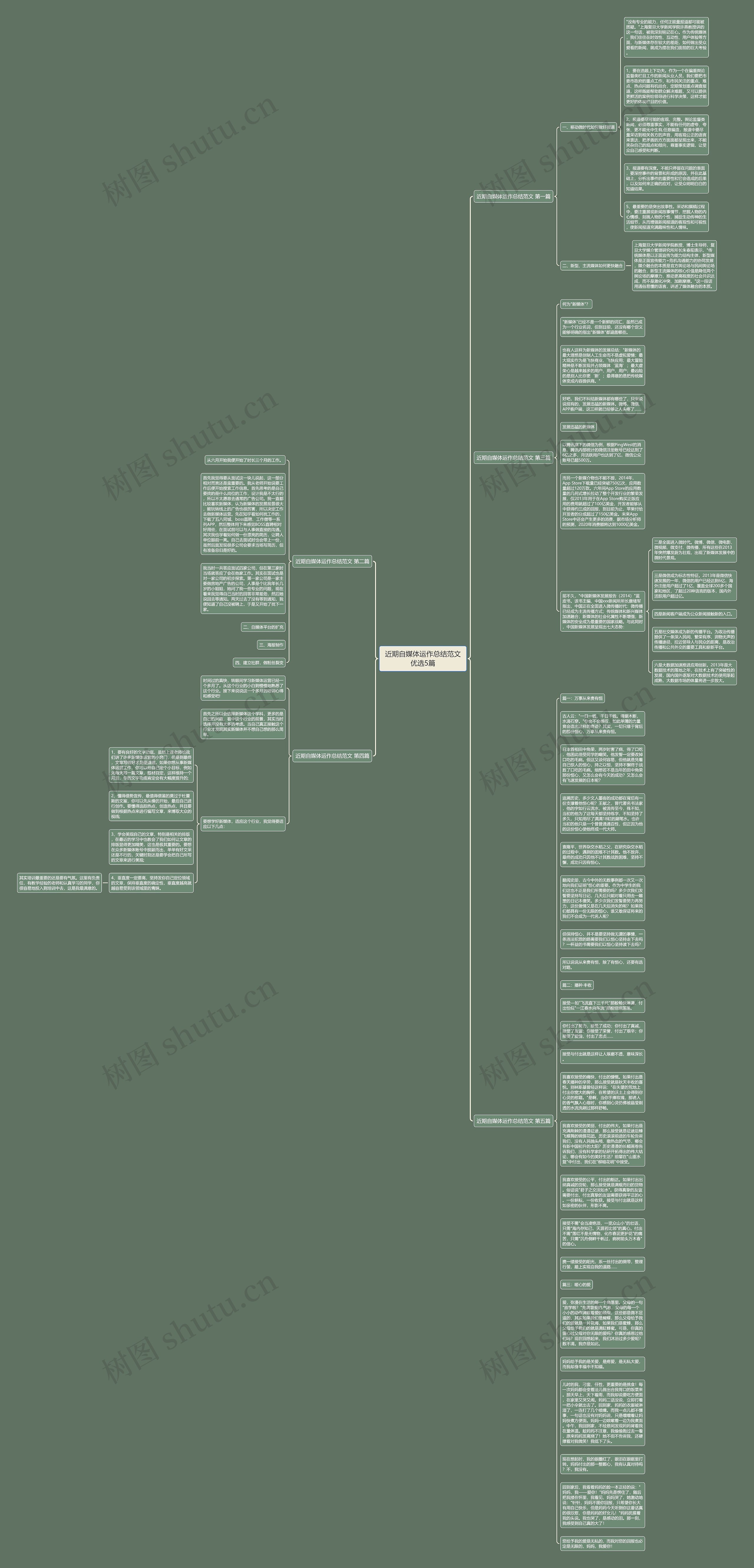 近期自媒体运作总结范文优选5篇思维导图