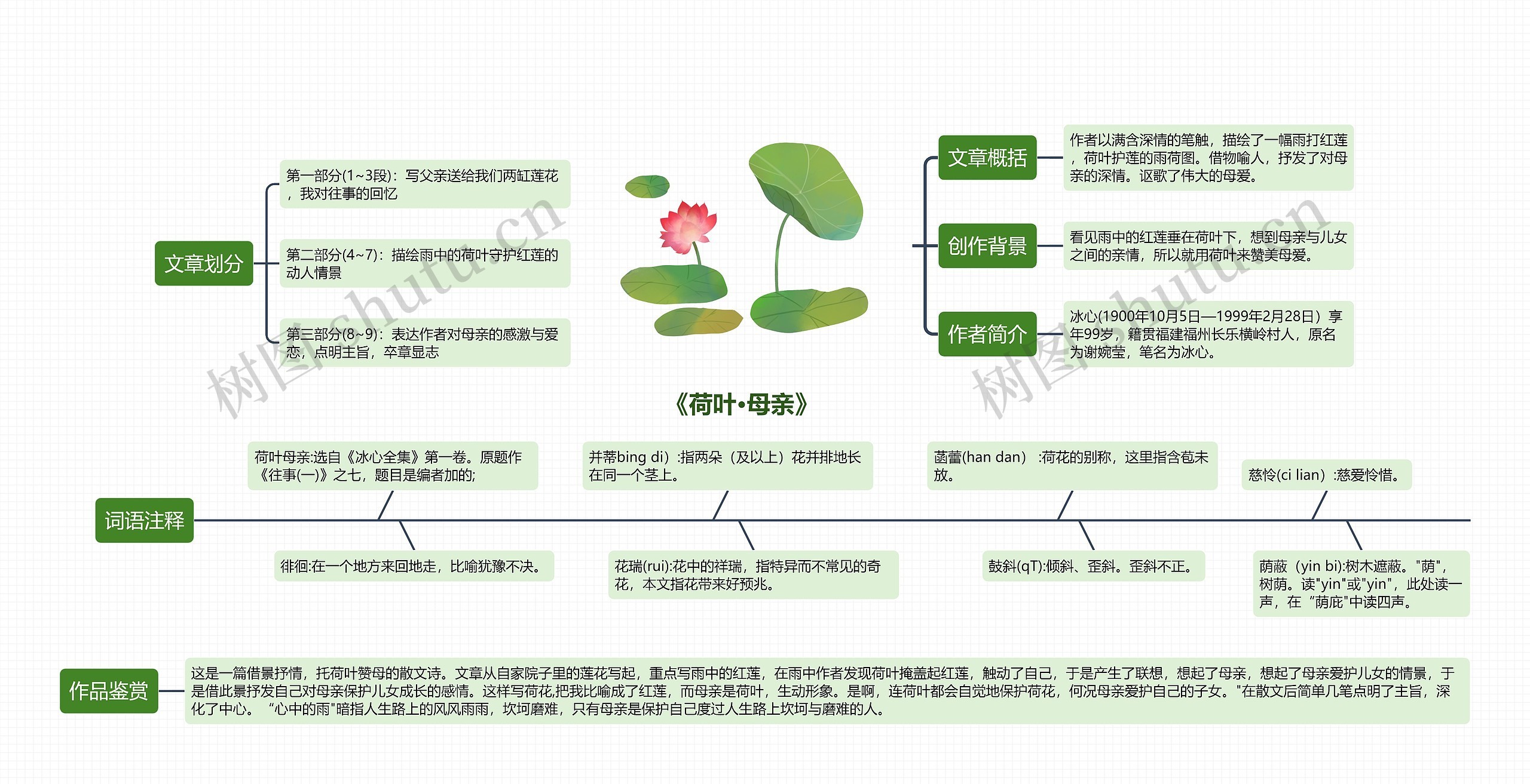 《荷叶·母亲》