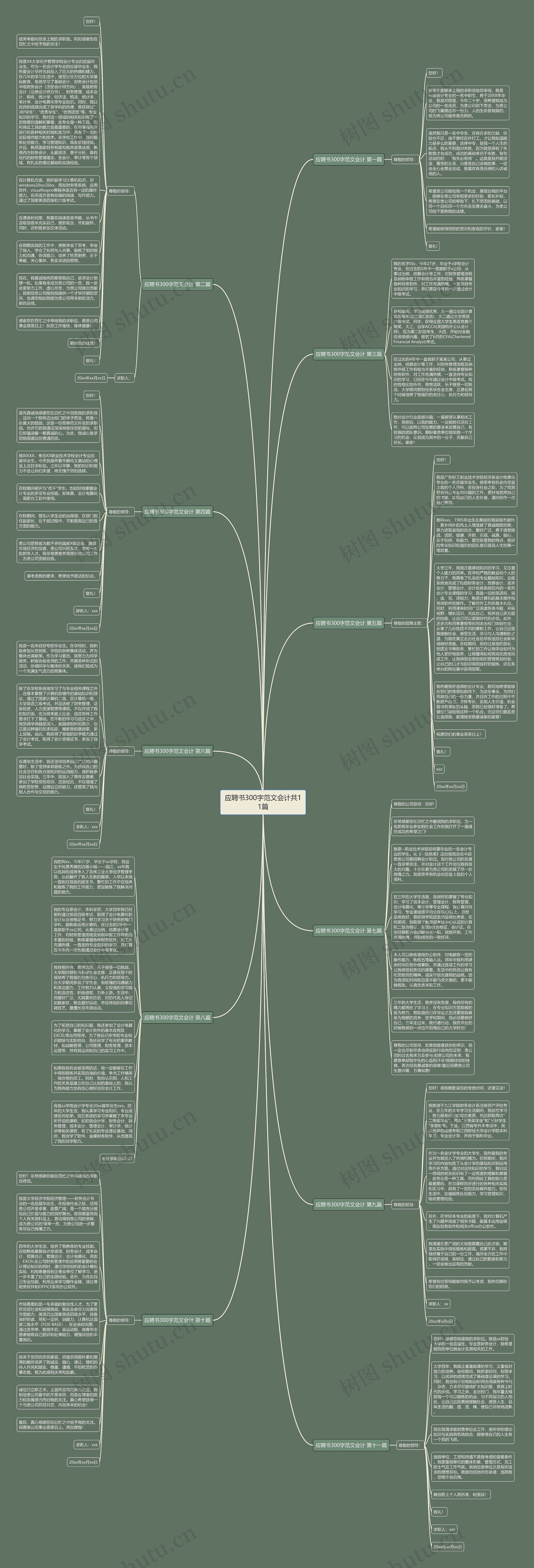 应聘书300字范文会计共11篇思维导图