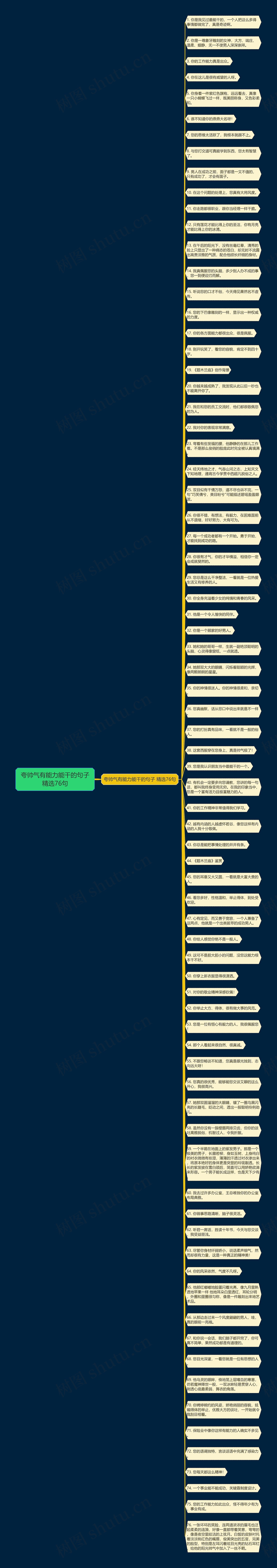 夸帅气有能力能干的句子精选76句思维导图