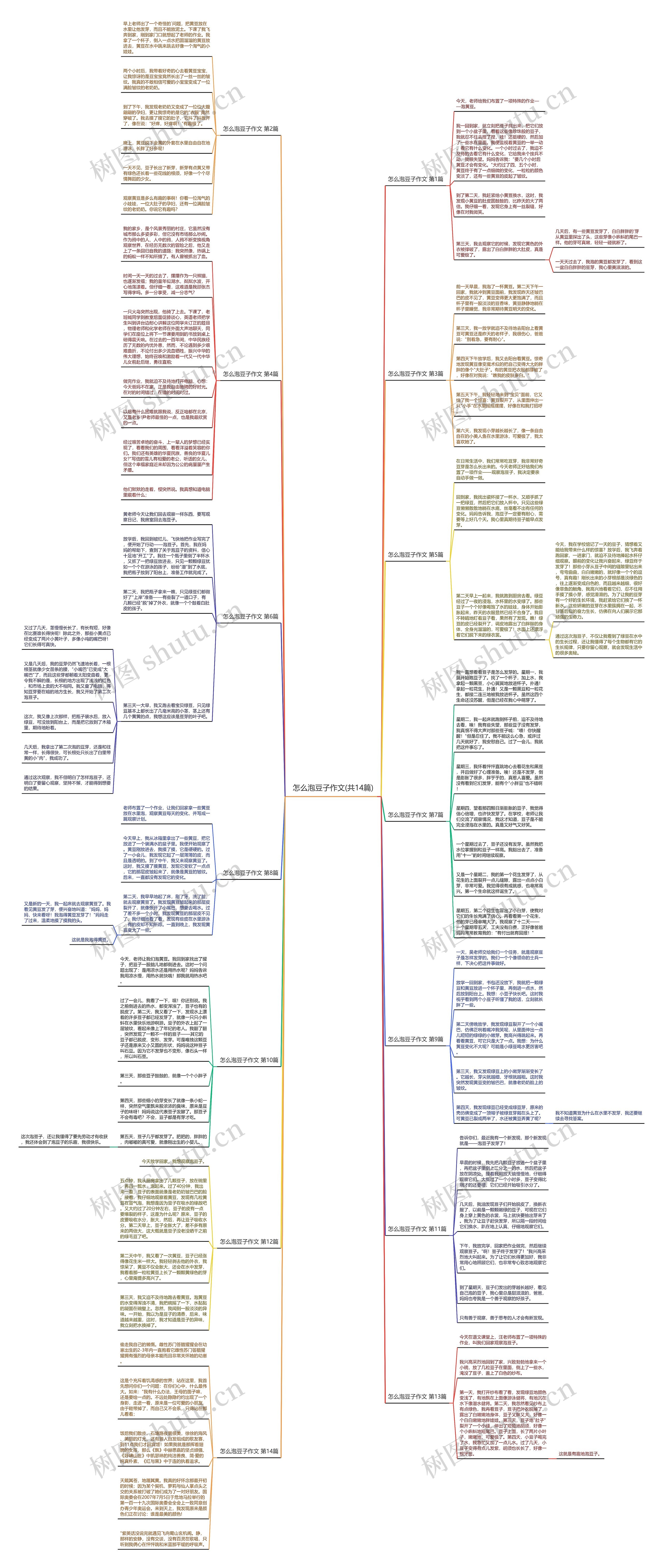 怎么泡豆子作文(共14篇)思维导图