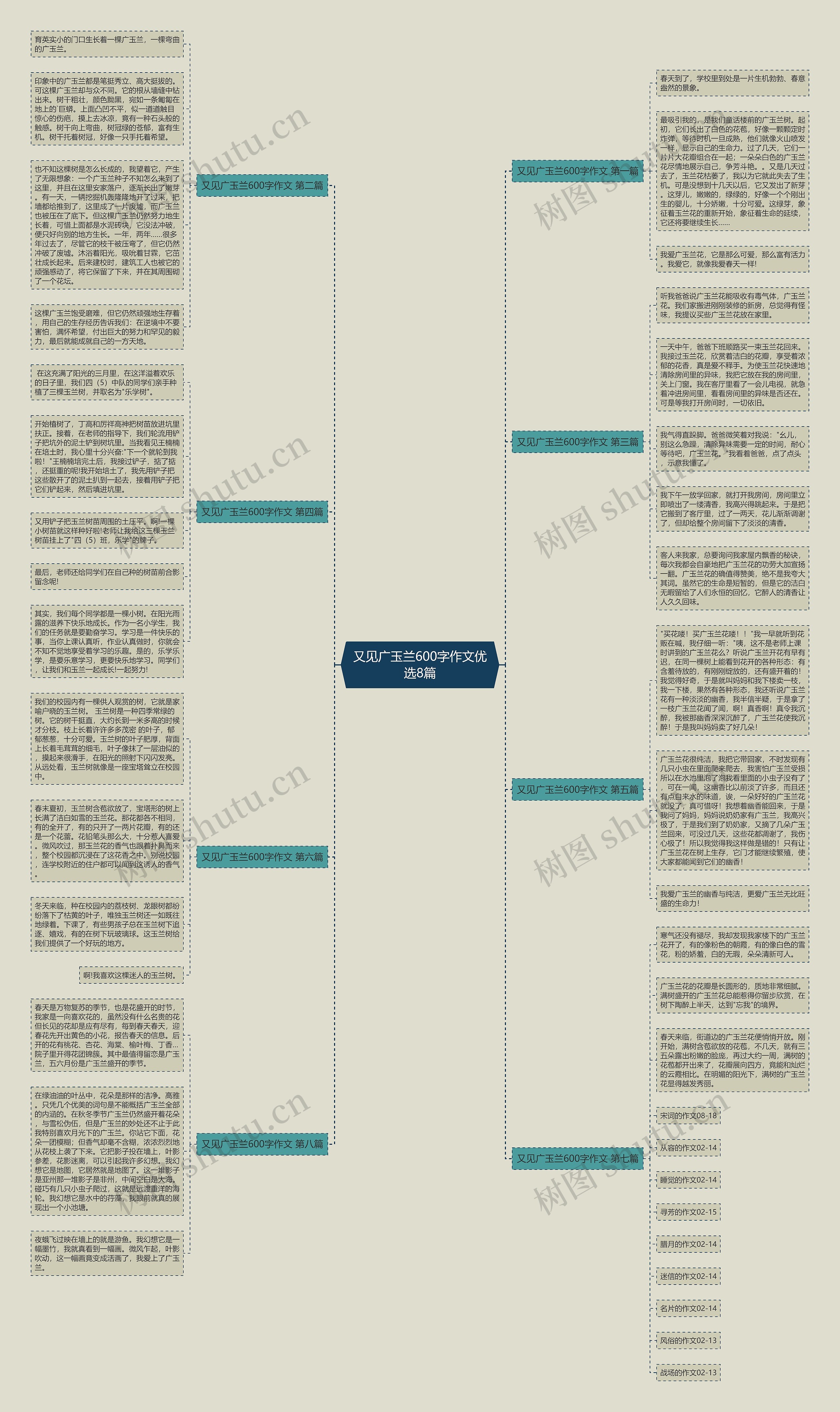 又见广玉兰600字作文优选8篇思维导图