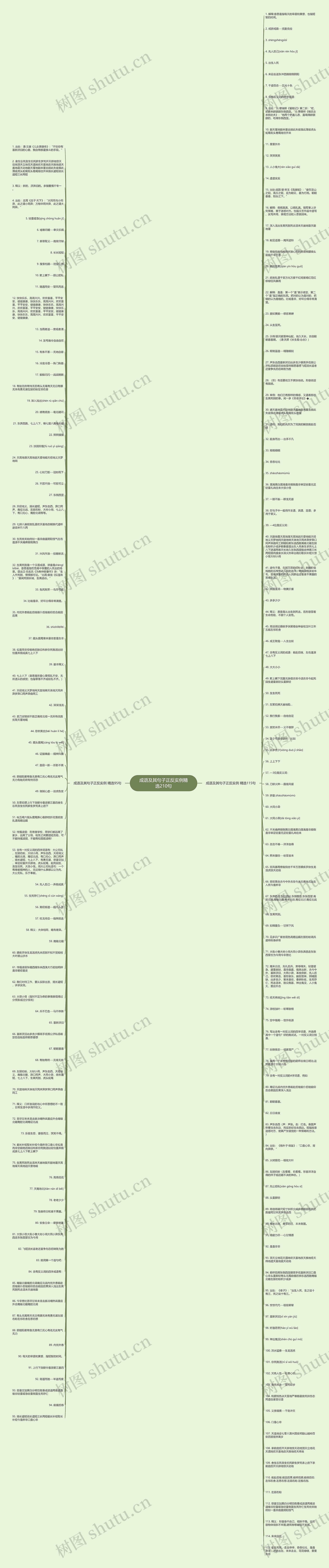 成语及其句子正反实例精选210句思维导图