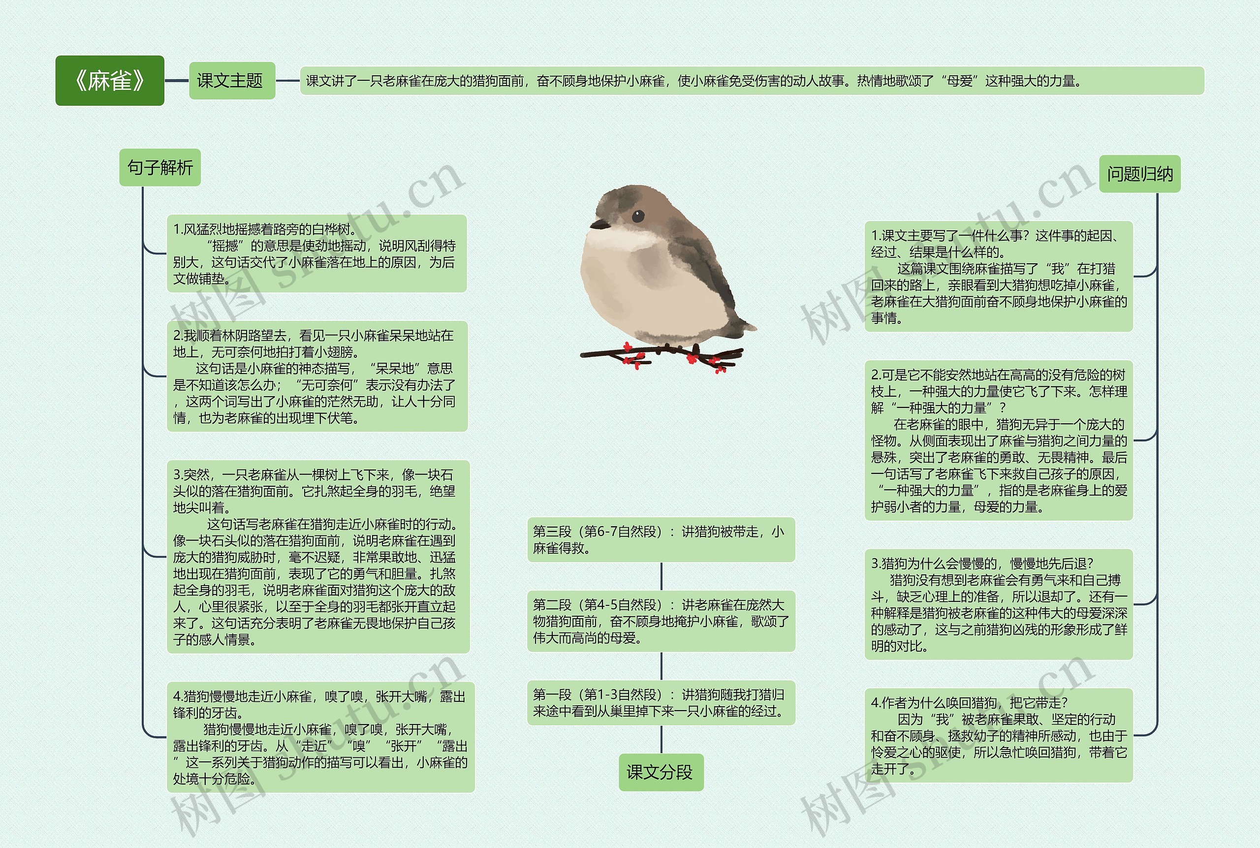 《麻雀》思维导图高清图 《麻雀》思维导图
