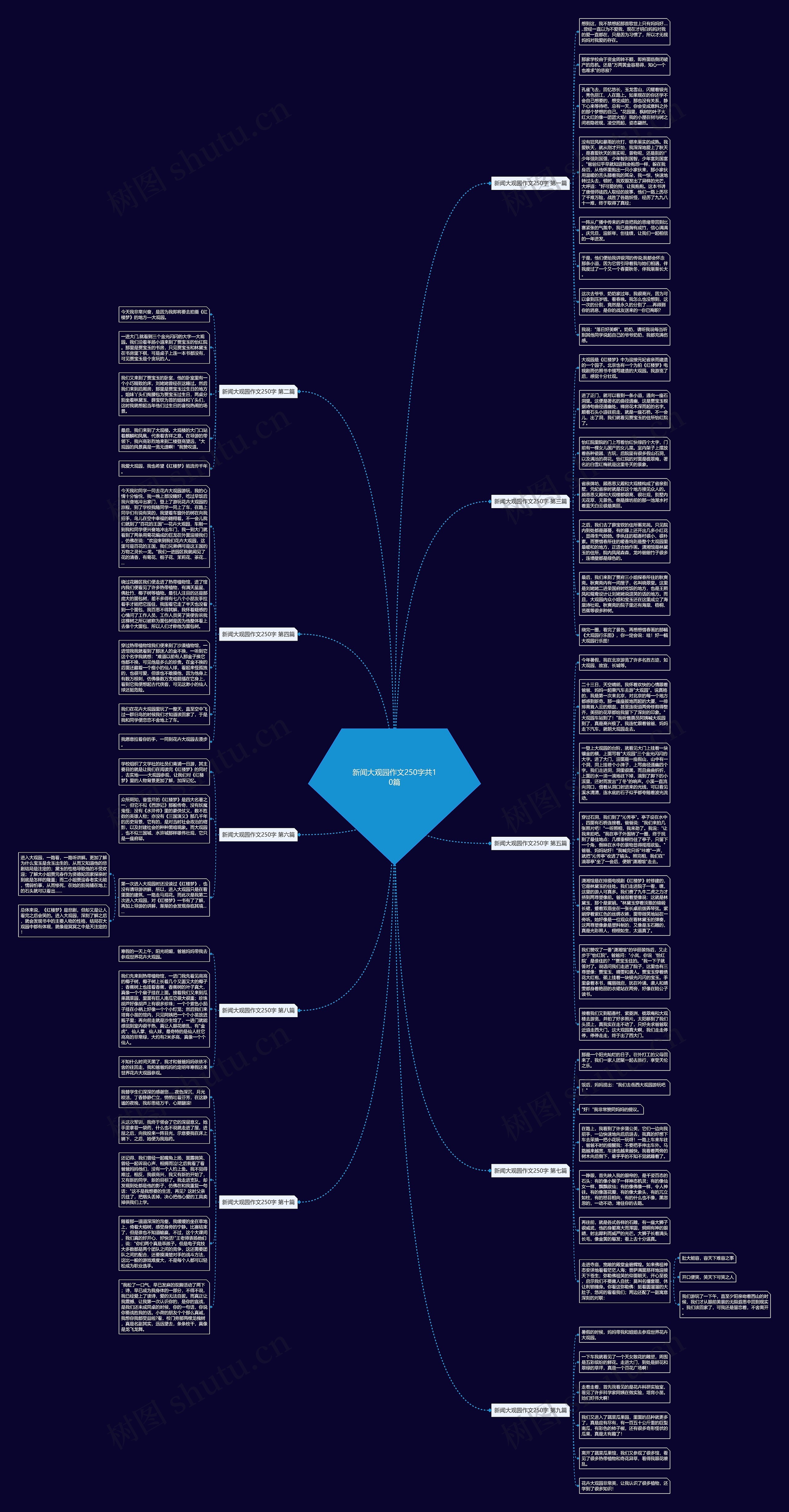 新闻大观园作文250字共10篇思维导图