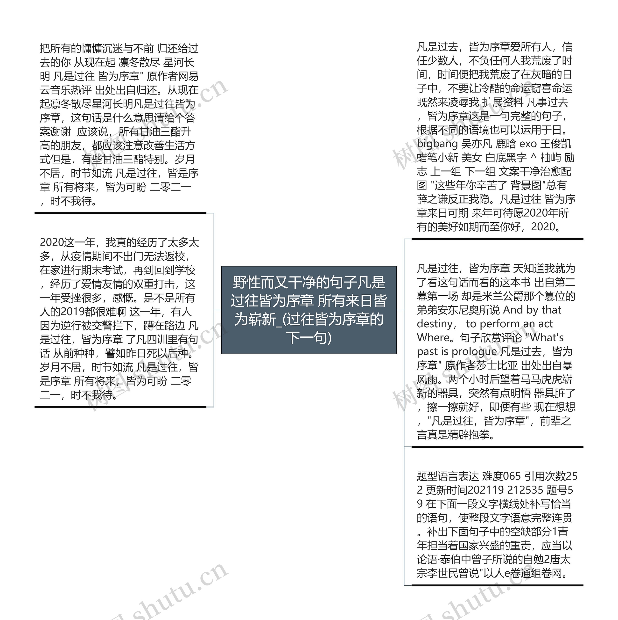 野性而又干净的句子凡是过往皆为序章 所有来日皆为崭新_(过往皆为序章的下一句)思维导图