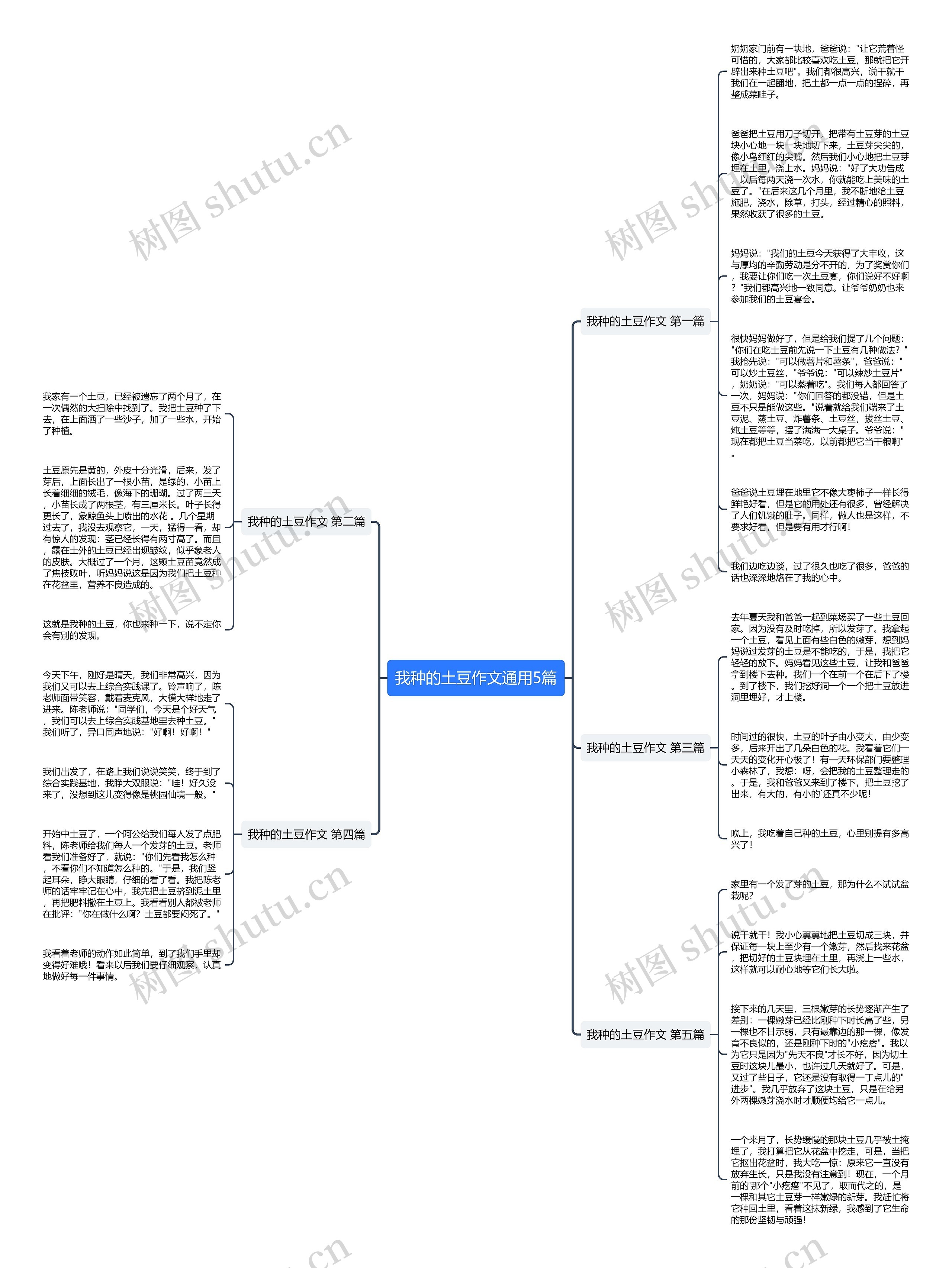 我种的土豆作文通用5篇思维导图