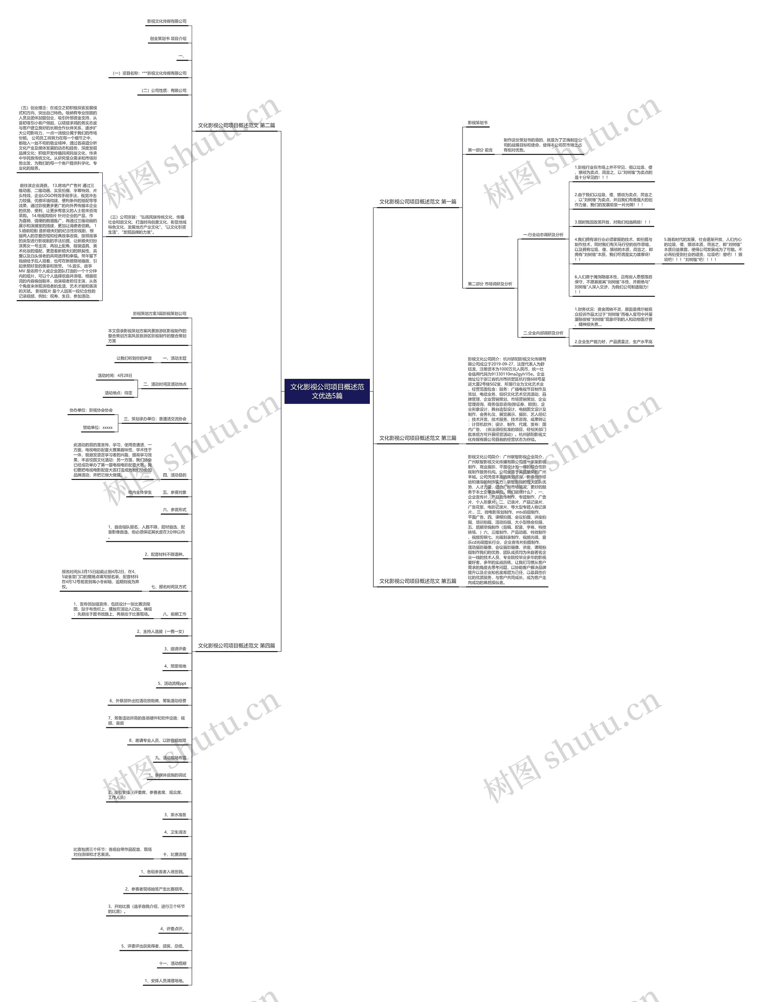 文化影视公司项目概述范文优选5篇
