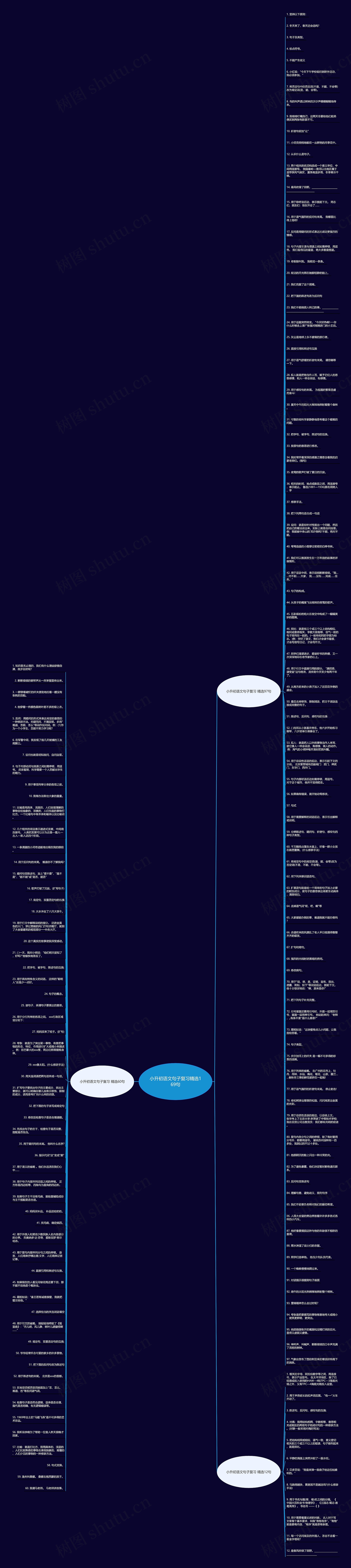 小升初语文句子复习精选169句思维导图