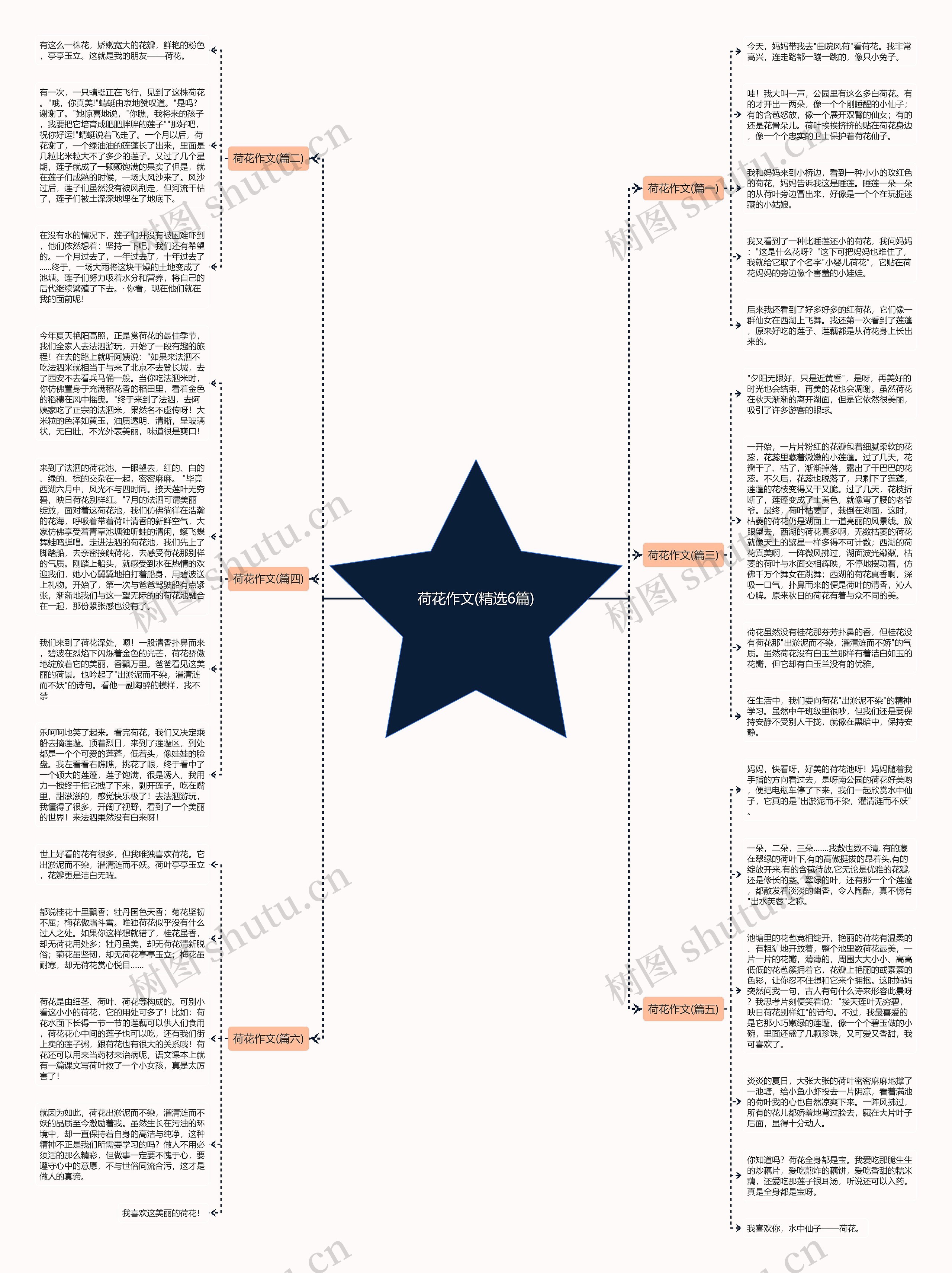 荷花作文(精选6篇) 荷花作文(精选6篇)