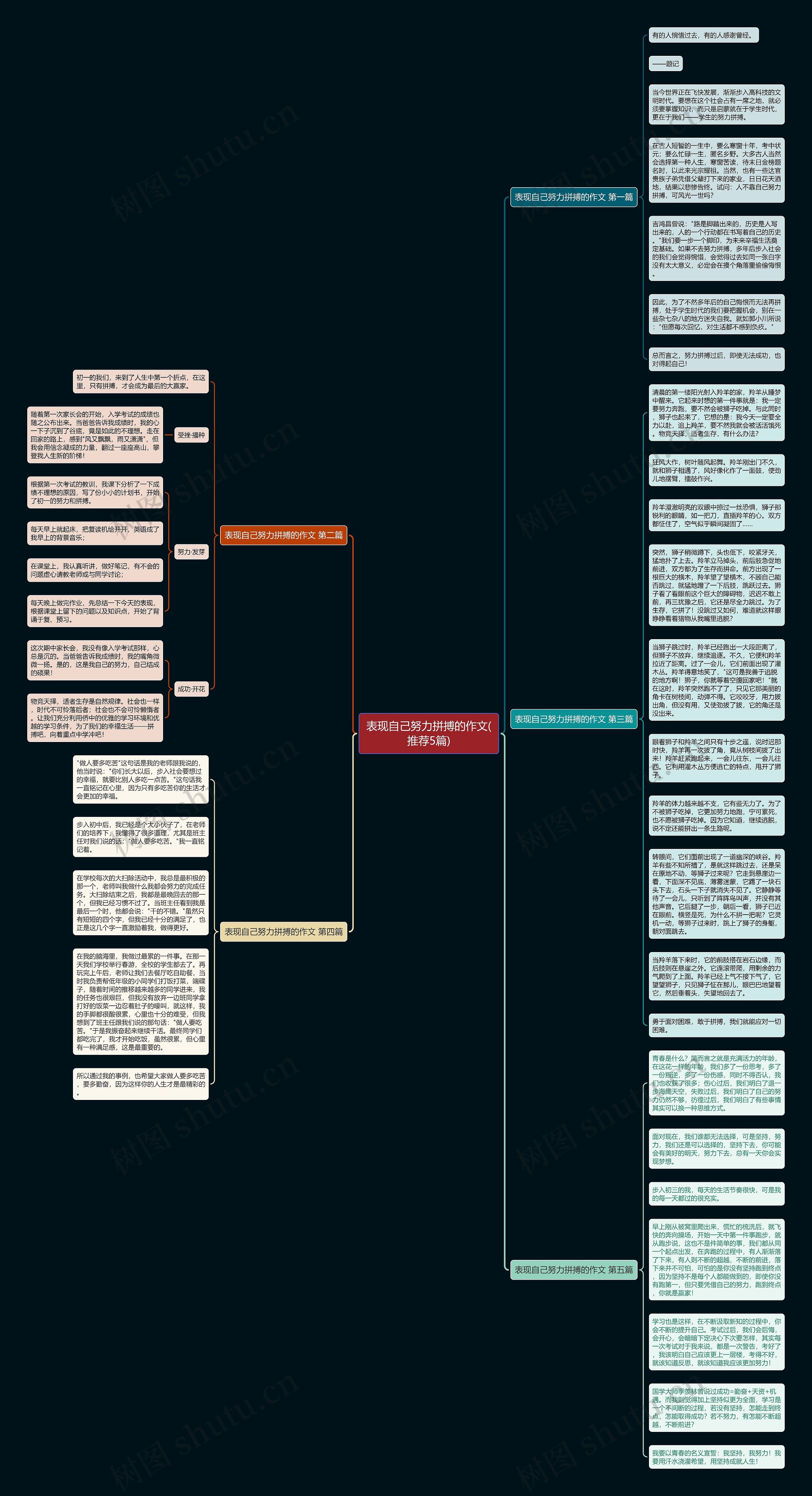 表现自己努力拼搏的作文(推荐5篇)思维导图