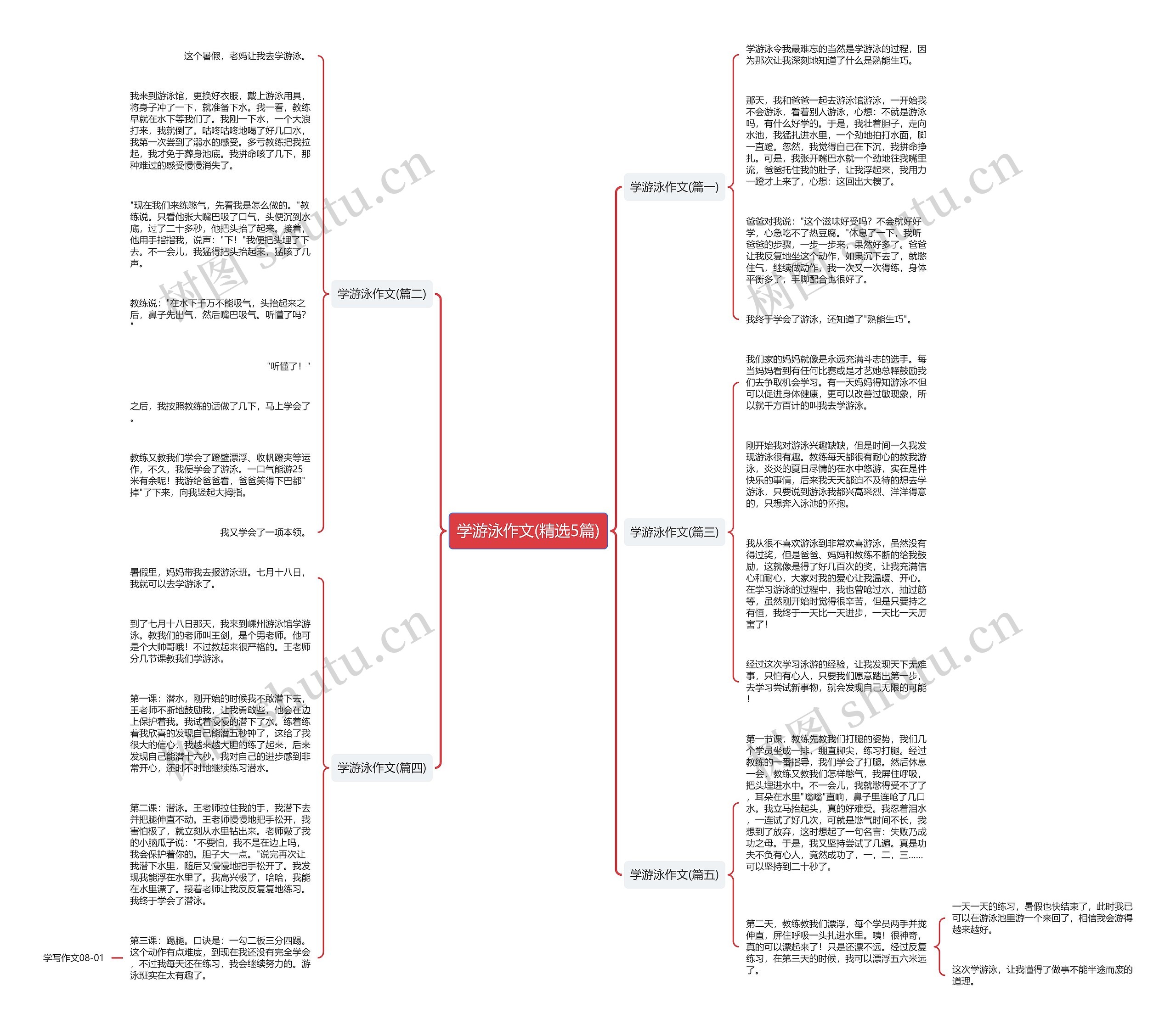 学游泳作文(精选5篇)思维导图