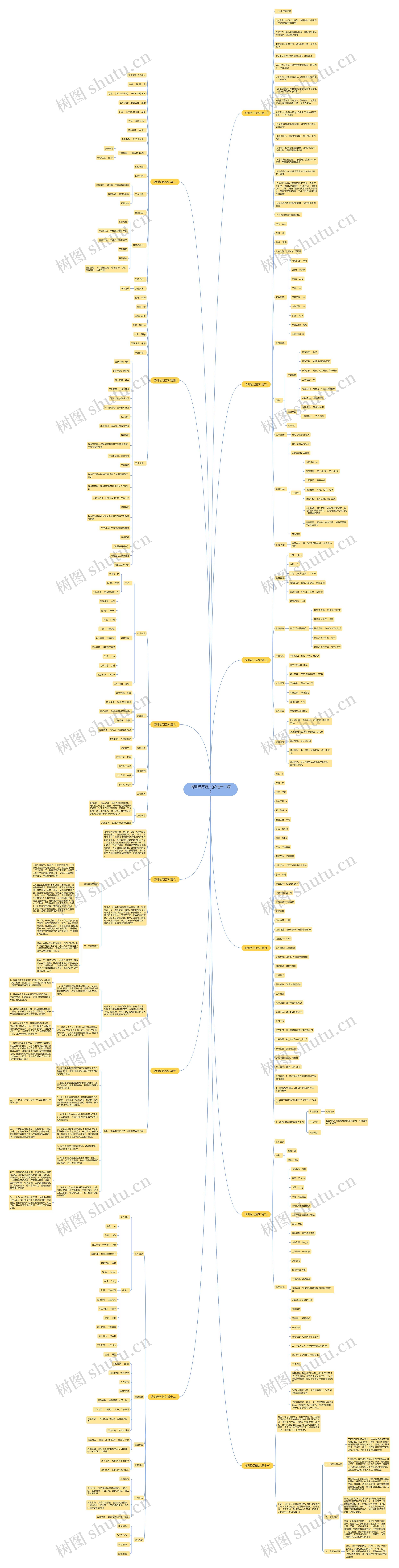 培训经历范文(优选十二篇)思维导图