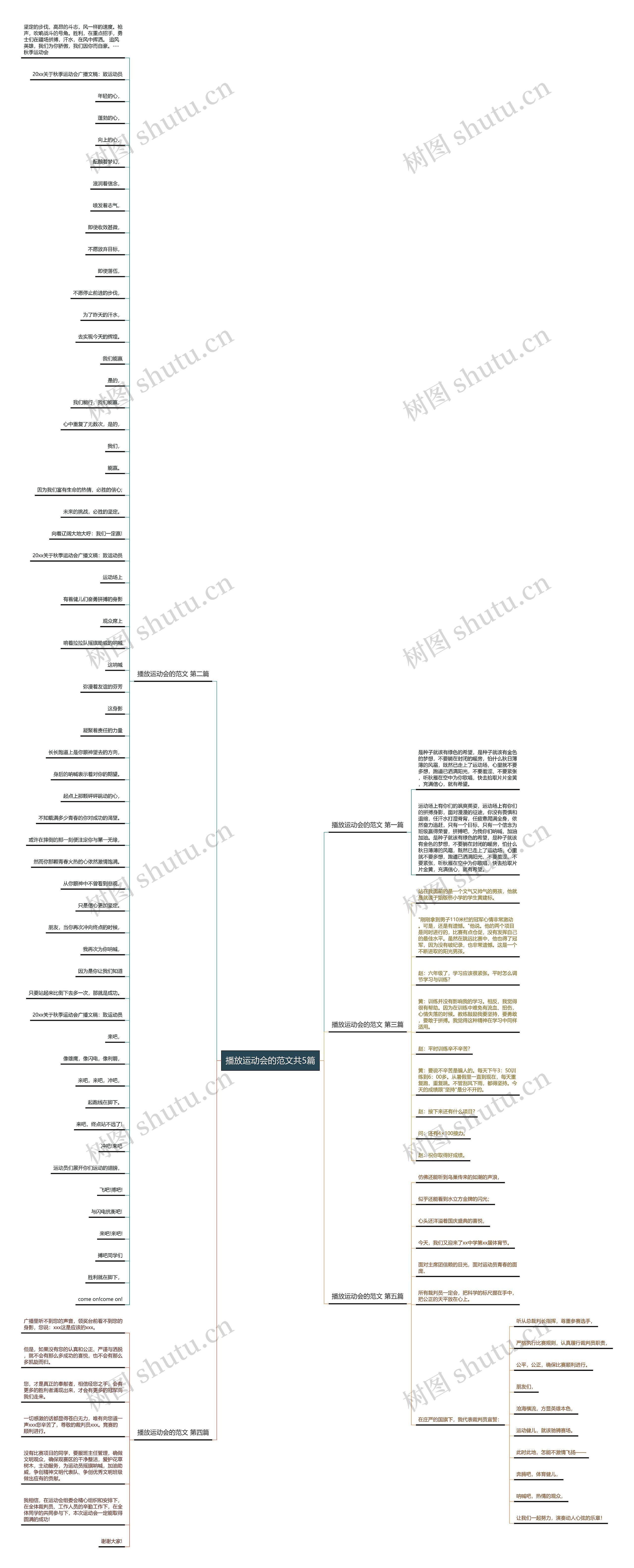 播放运动会的范文共5篇 播放运动会的范文共5篇