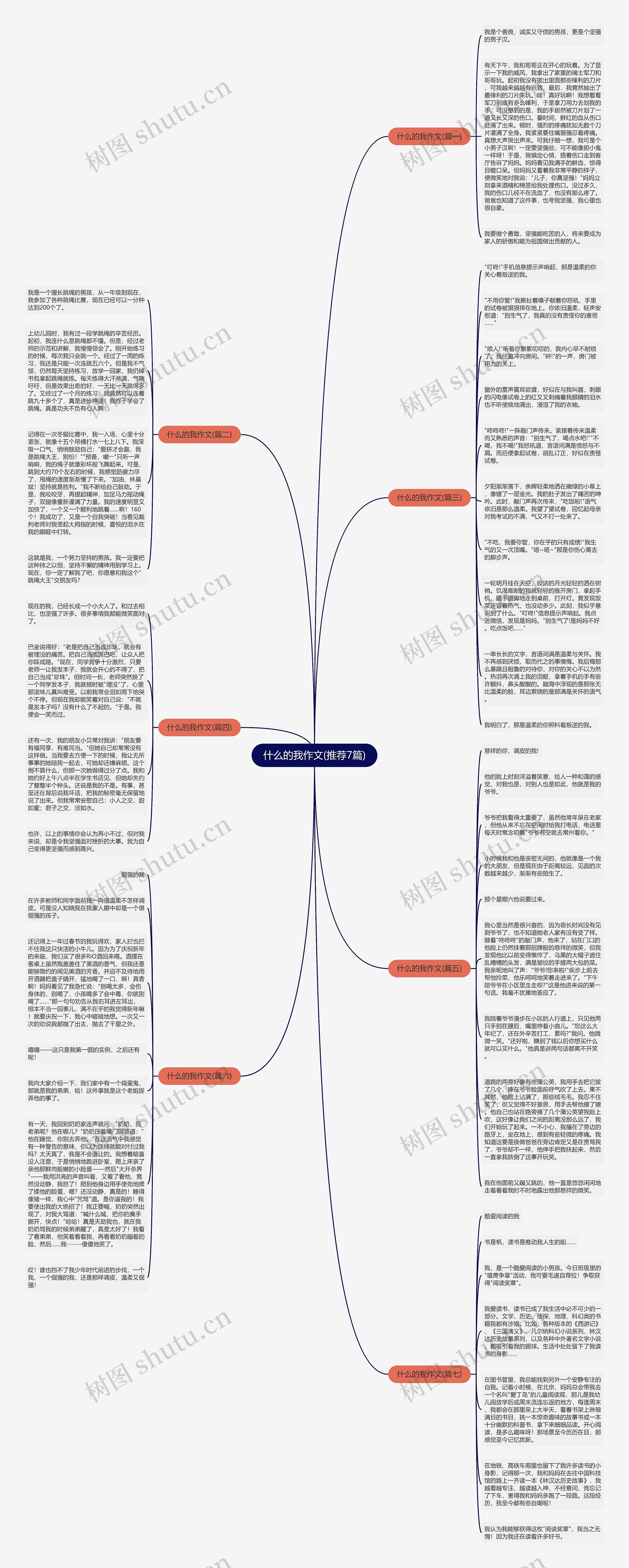 什么的我作文(推荐7篇)思维导图