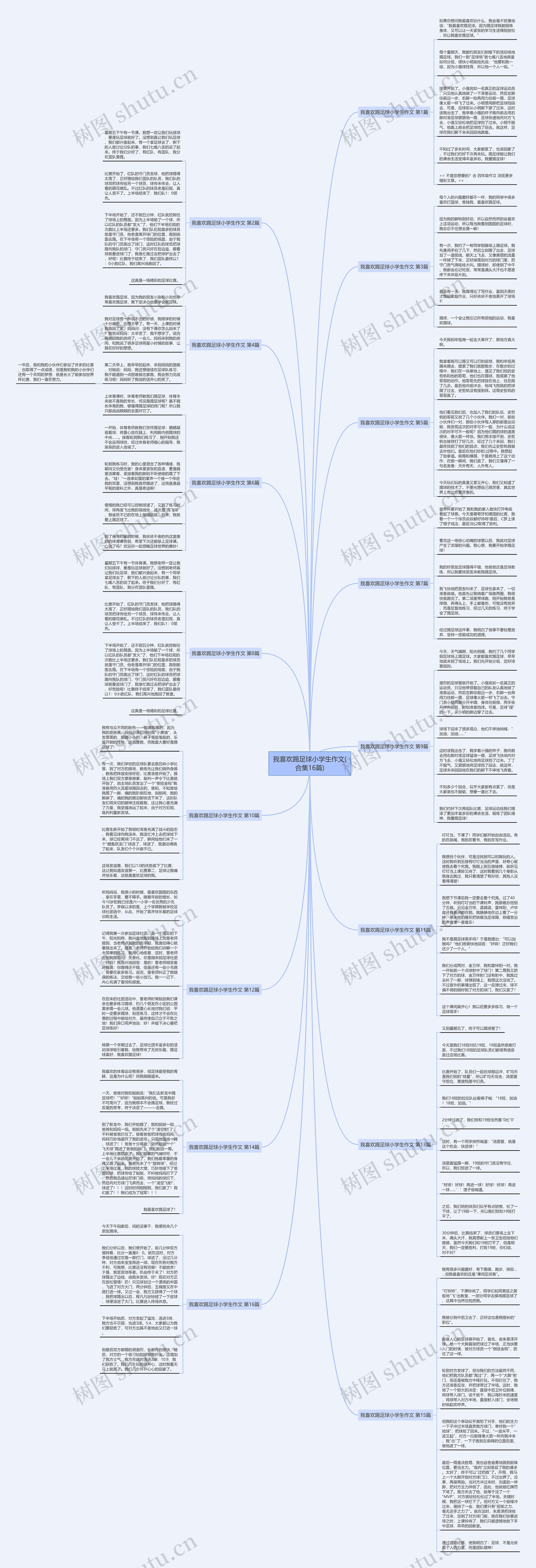 我喜欢踢足球小学生作文(合集16篇)思维导图