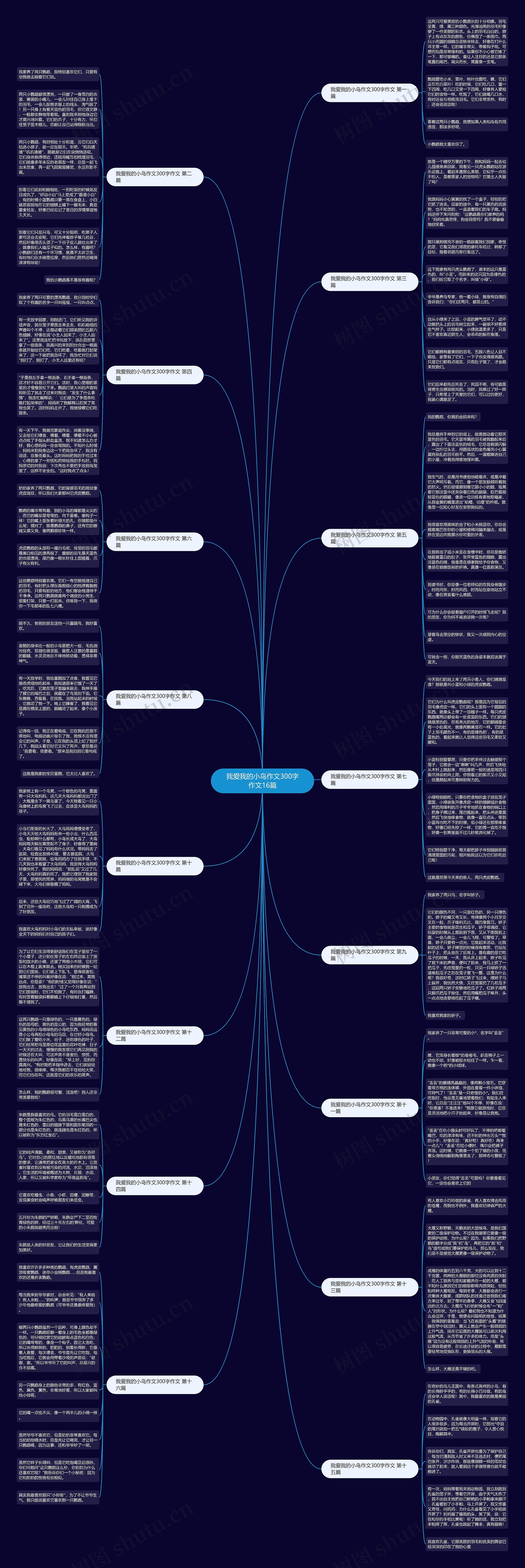 我爱我的小鸟作文300字作文16篇思维导图