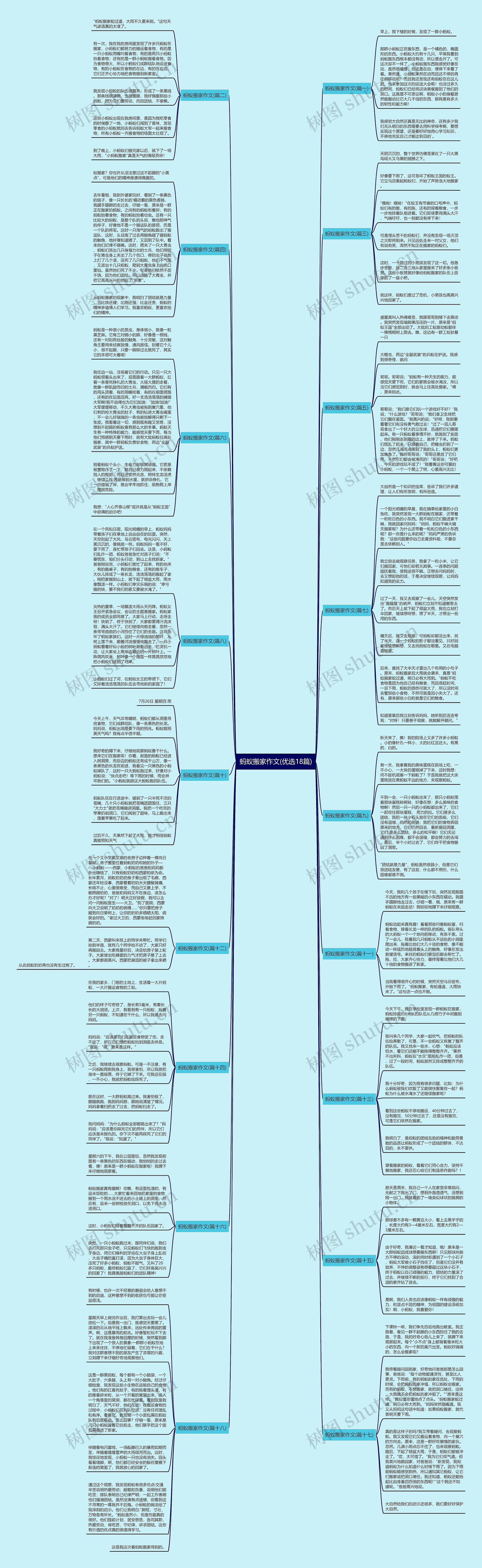 蚂蚁搬家作文(优选18篇)思维导图