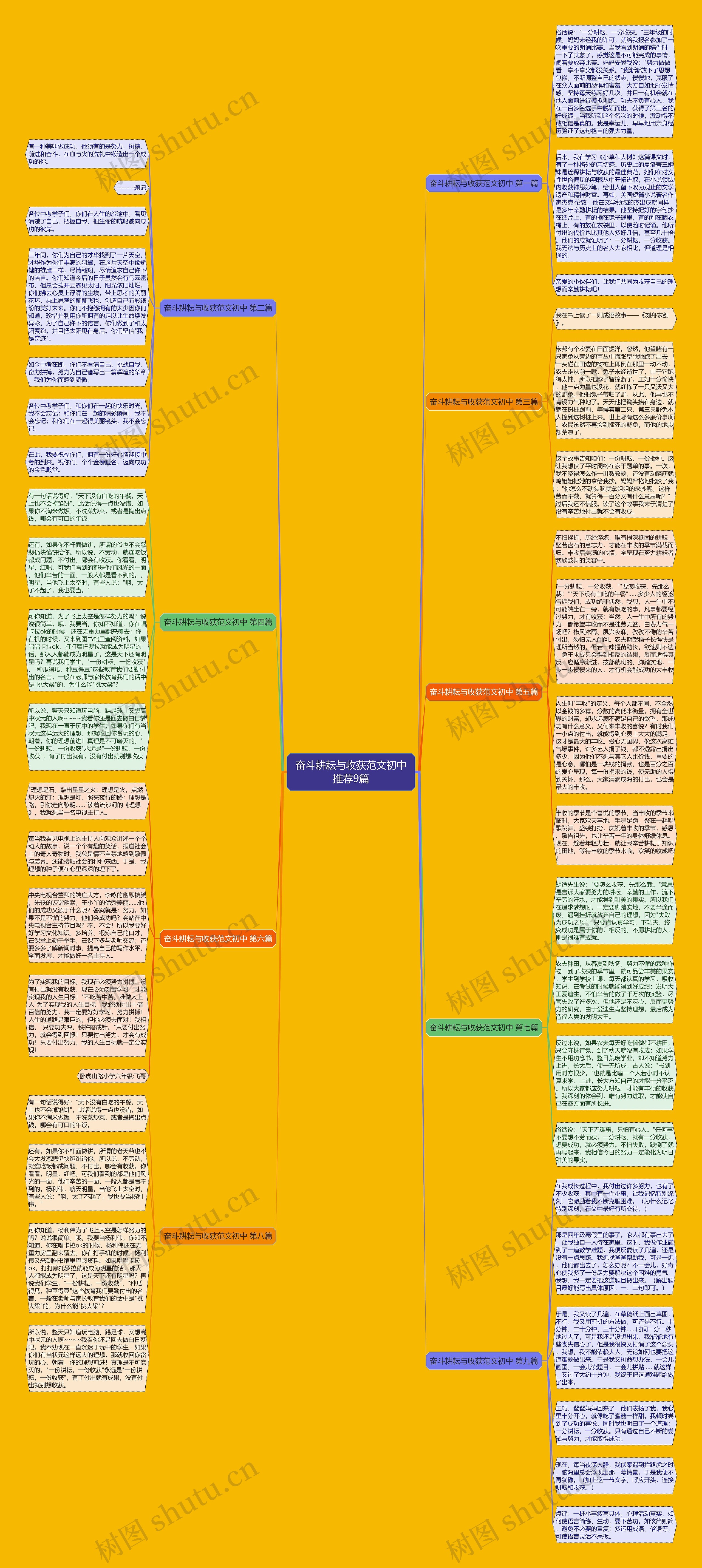 奋斗耕耘与收获范文初中推荐9篇思维导图