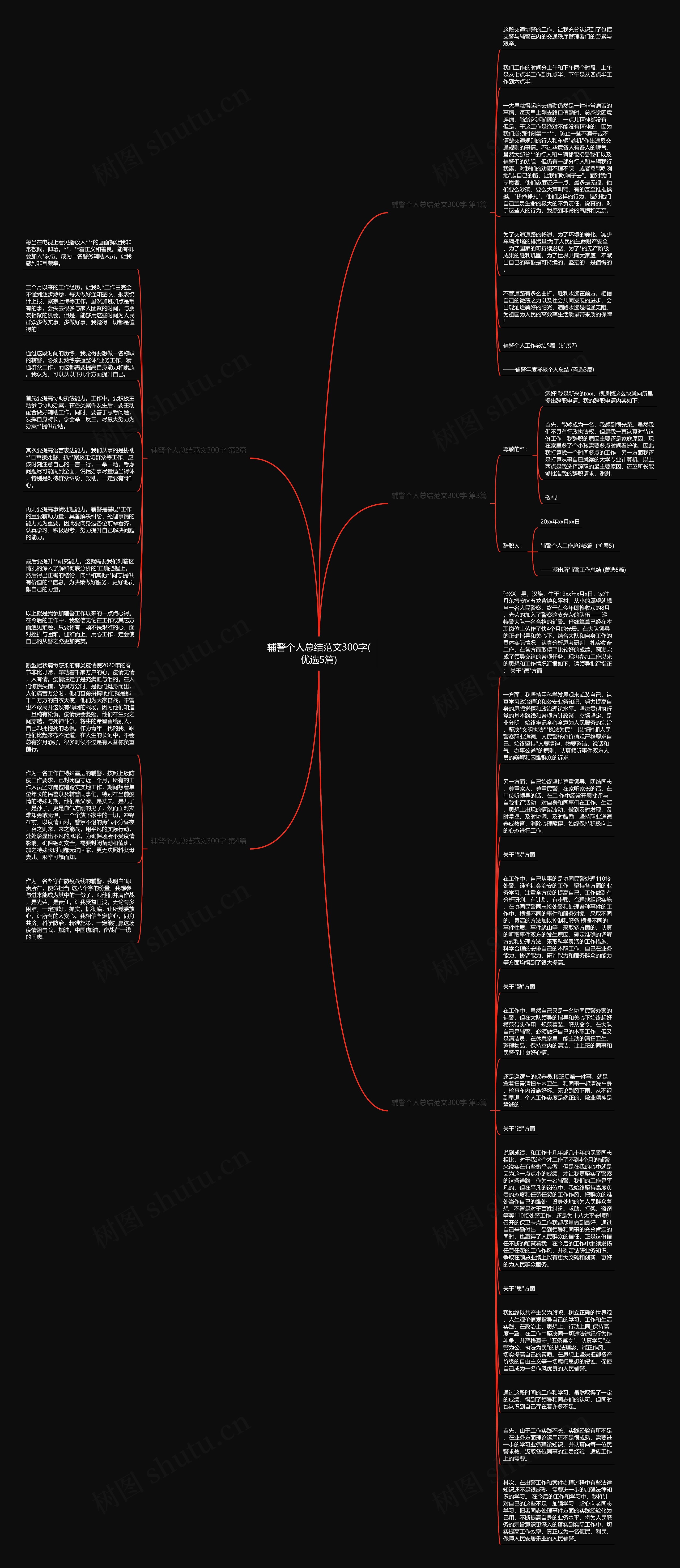 辅警个人总结范文300字(优选5篇)思维导图