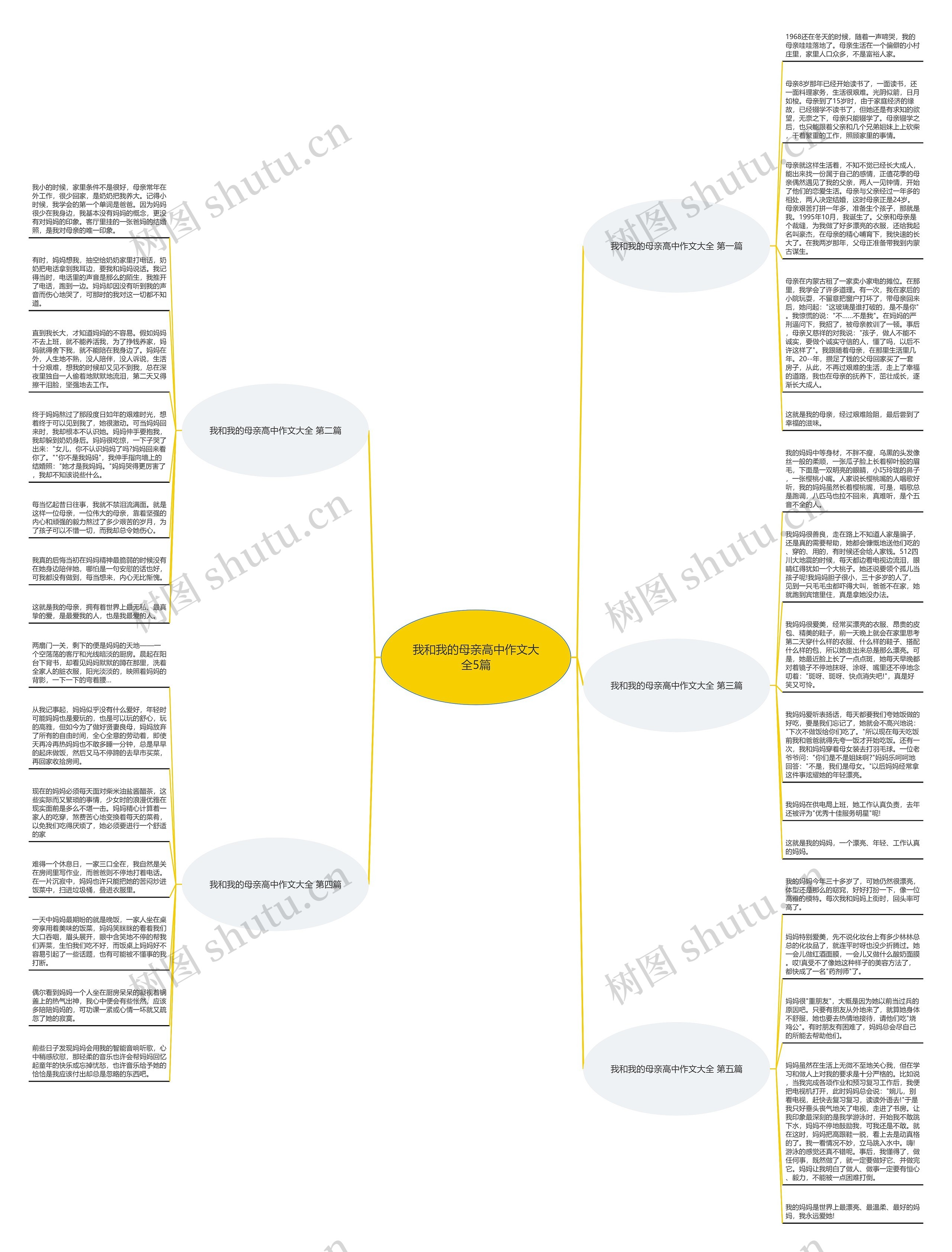 我和我的母亲高中作文大全5篇思维导图