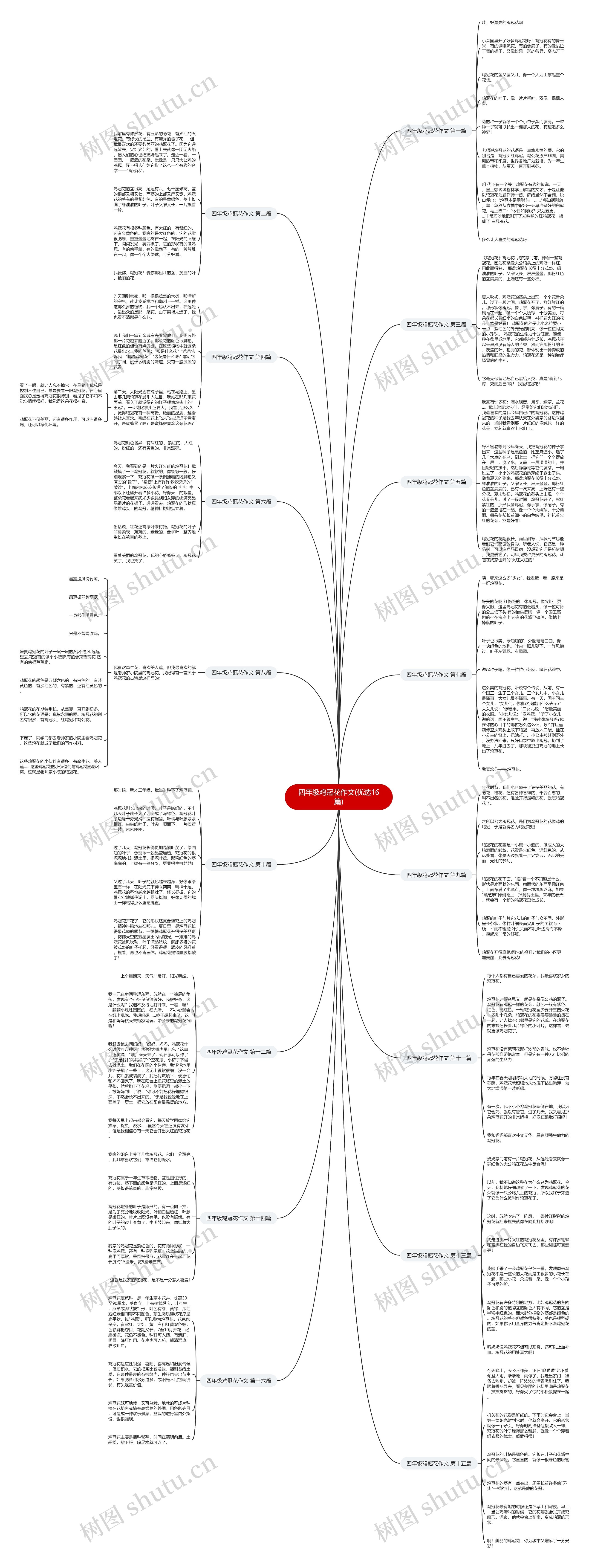 四年级鸡冠花作文(优选16篇)思维导图