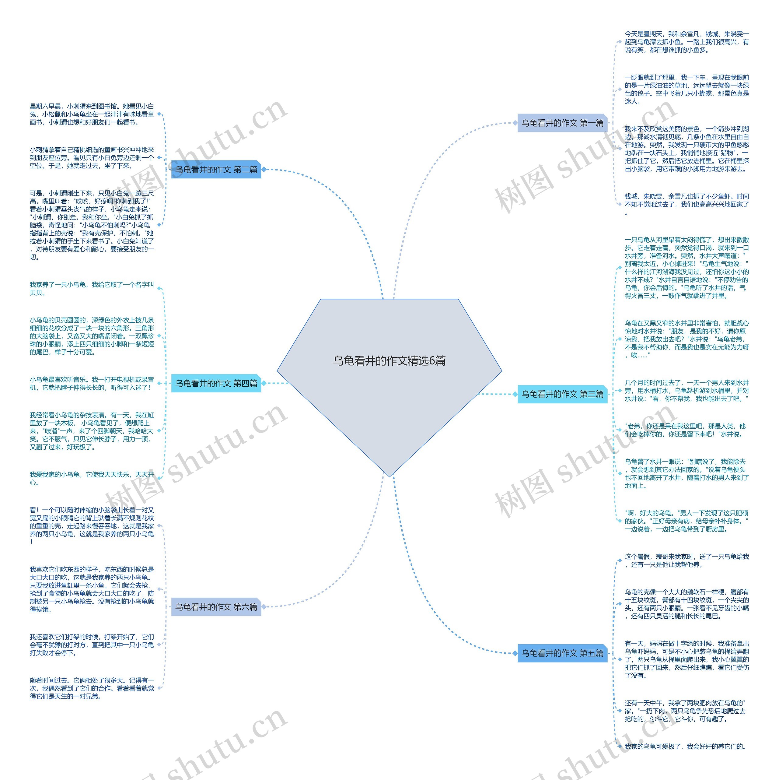 乌龟看井的作文精选6篇思维导图