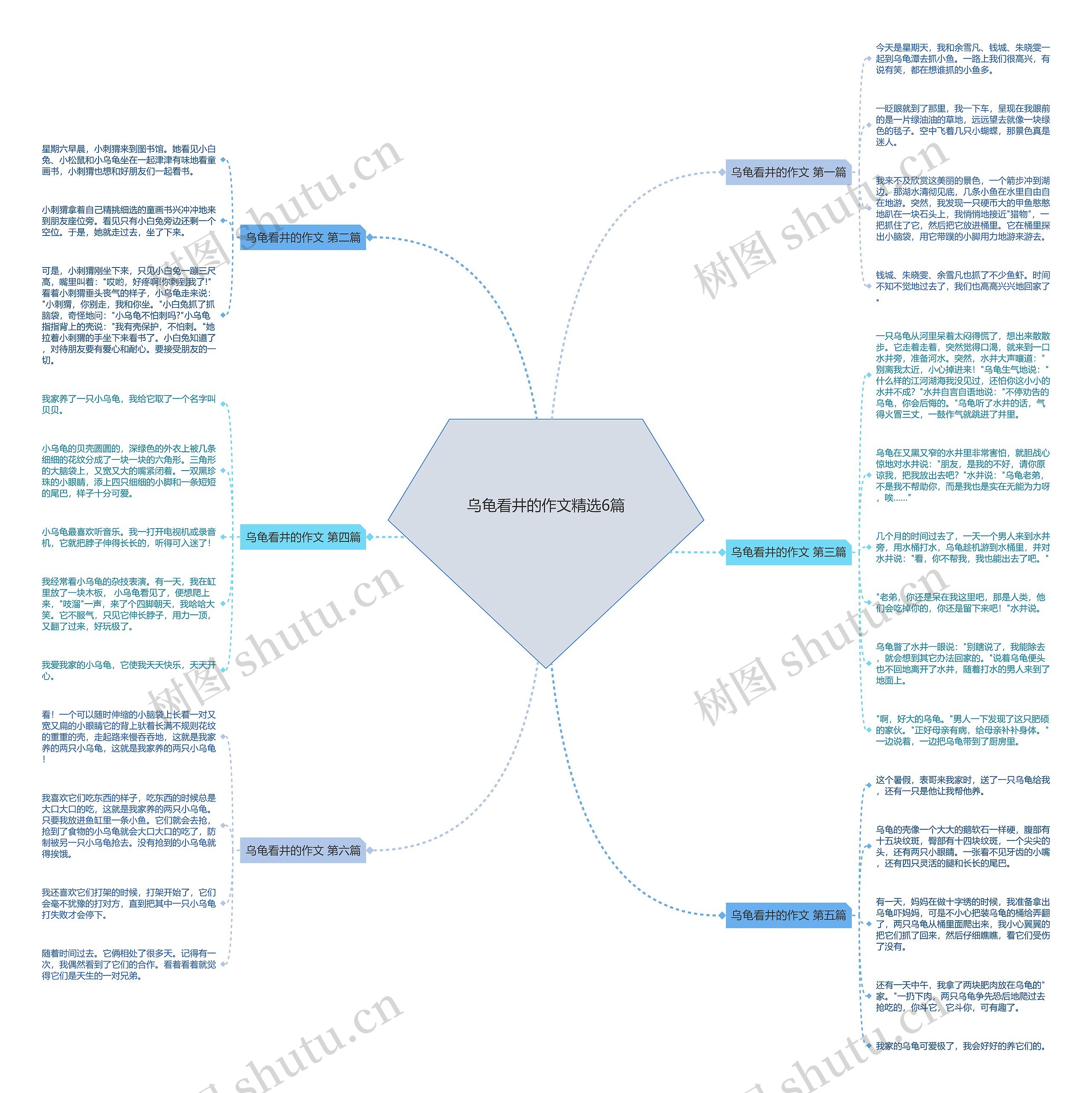 乌龟看井的作文精选6篇 乌龟看井的作文精选6篇