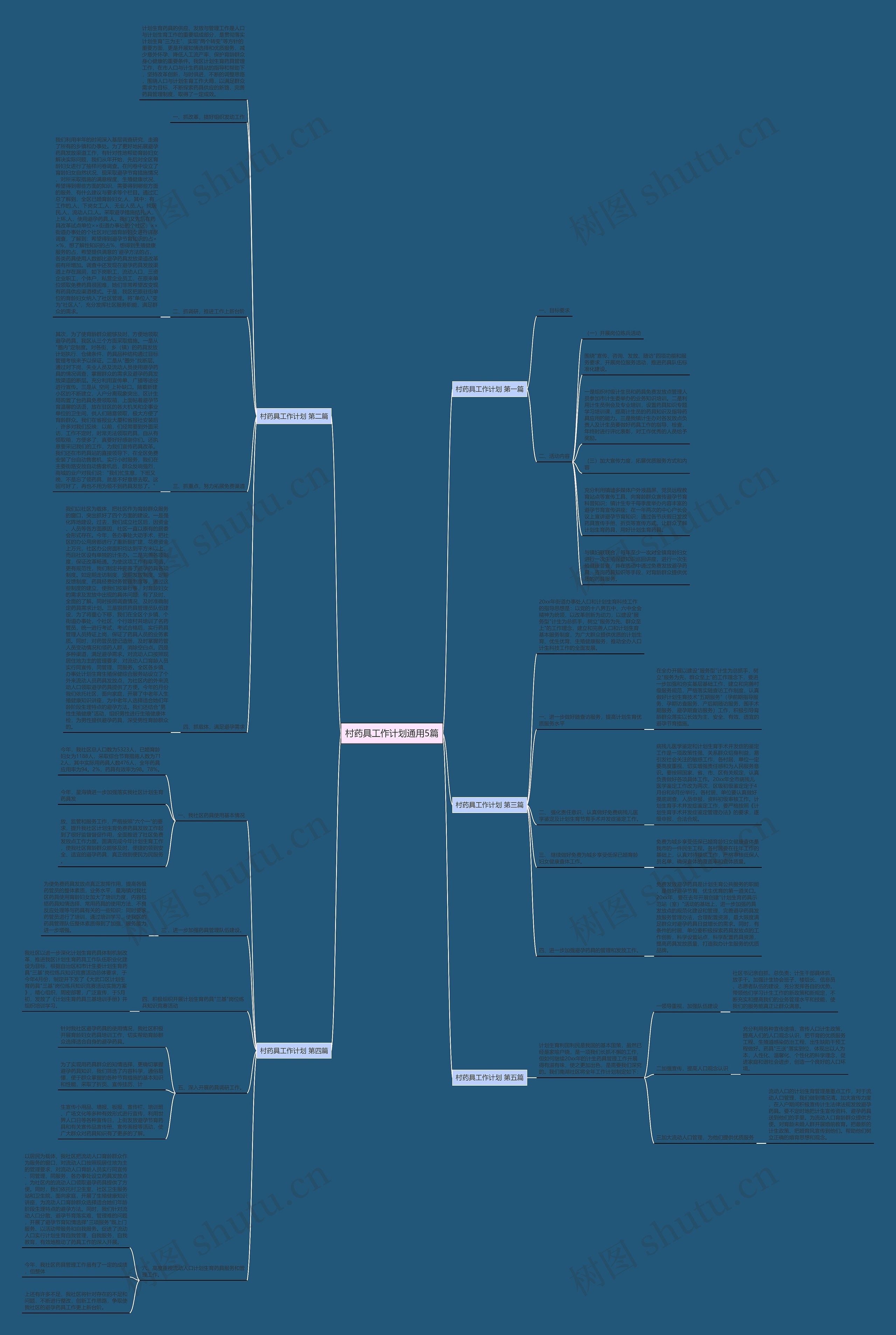 村药具工作计划通用5篇思维导图
