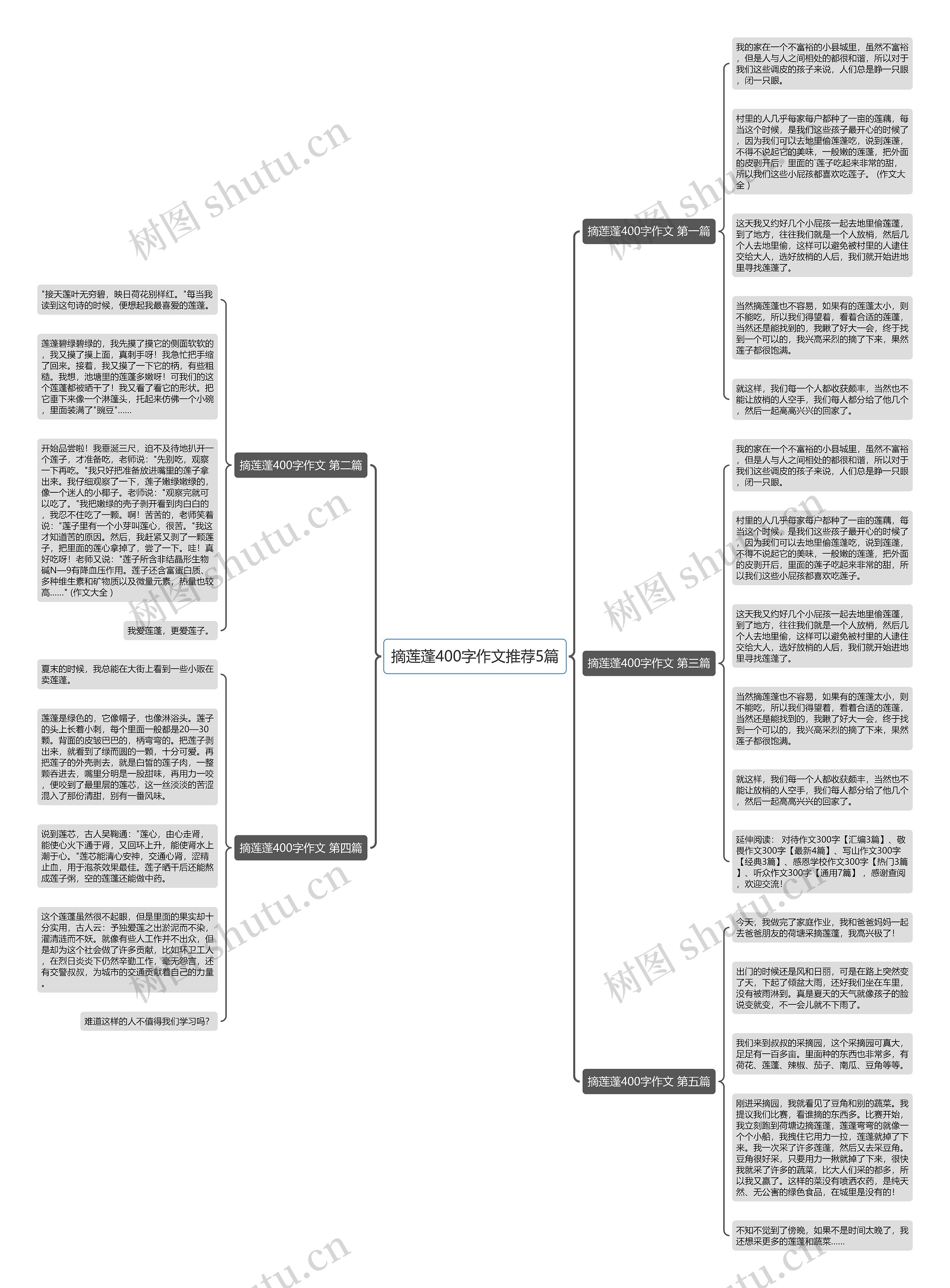 摘莲蓬400字作文推荐5篇思维导图