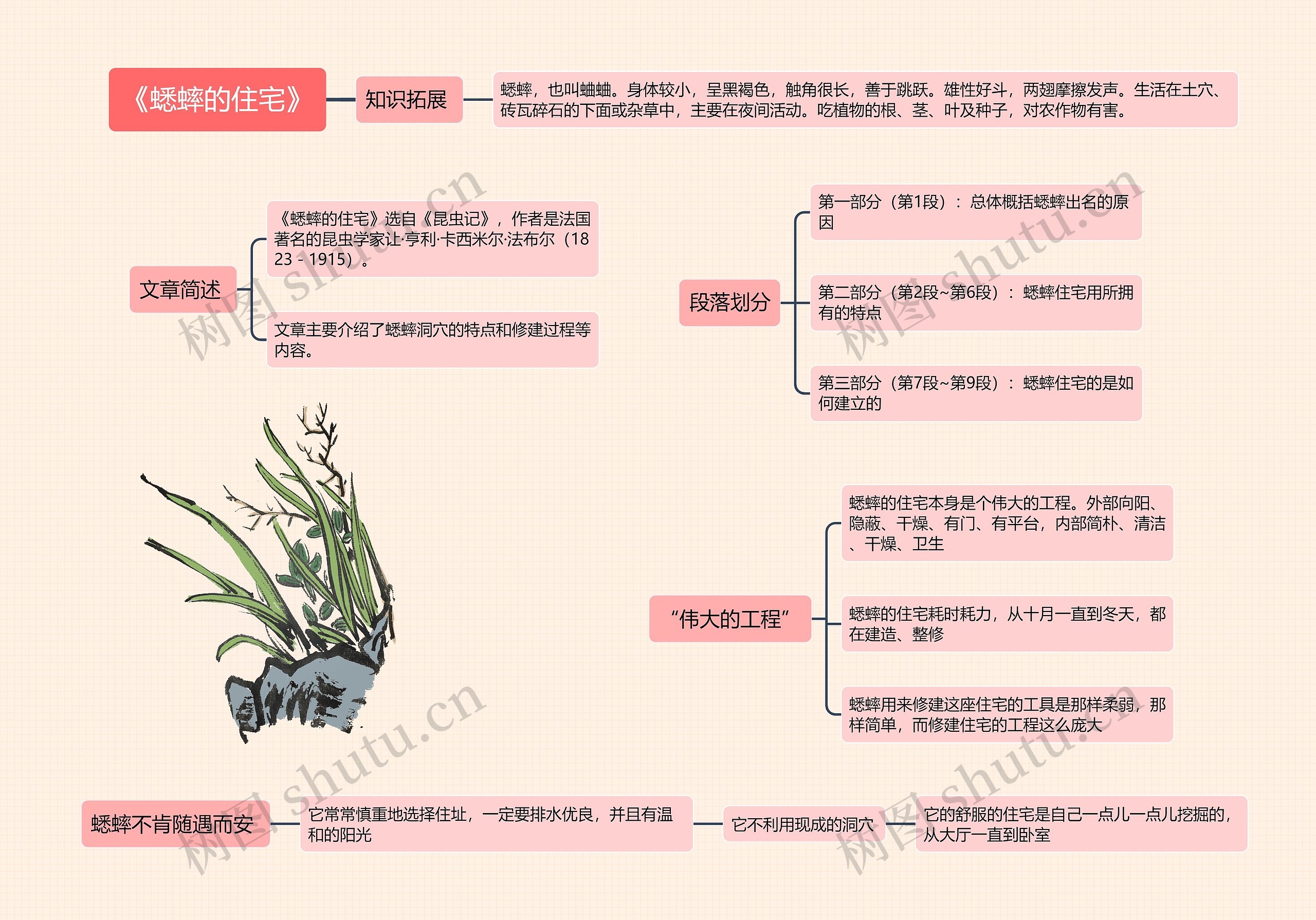 《蟋蟀的住宅》