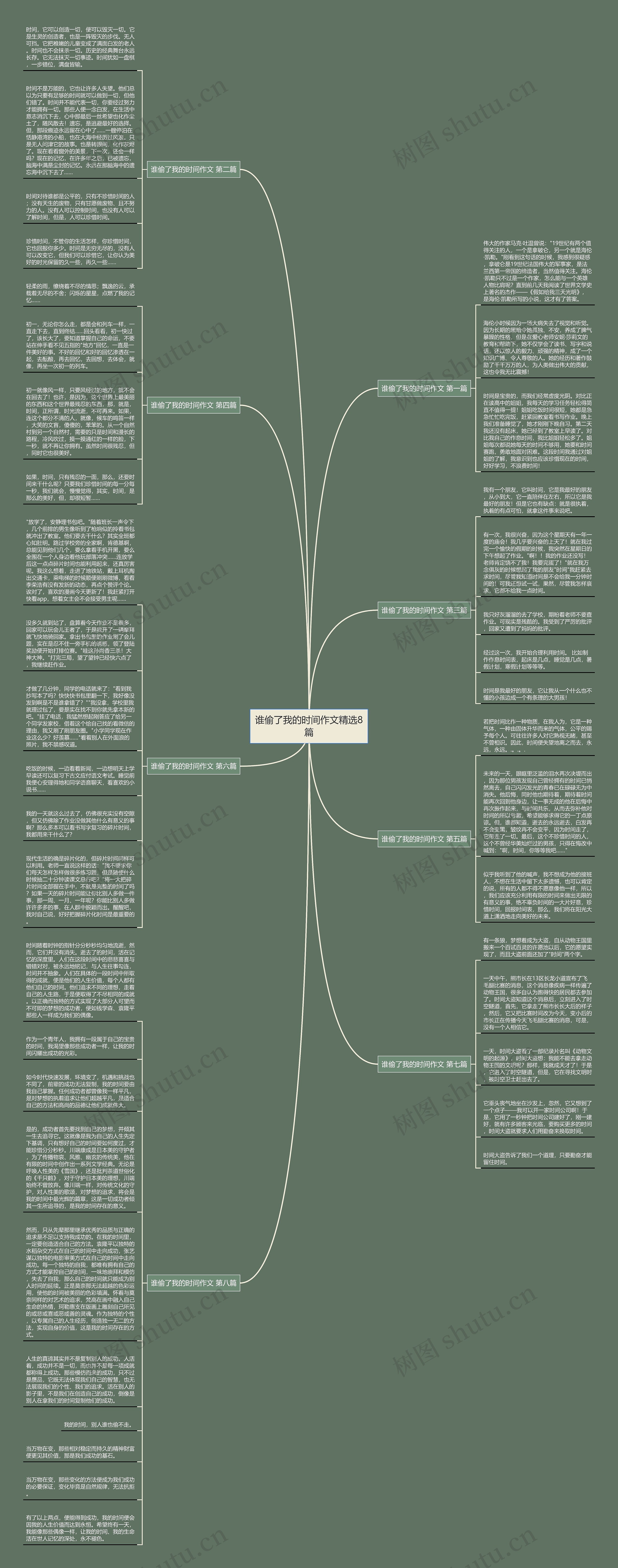 谁偷了我的时间作文精选8篇思维导图