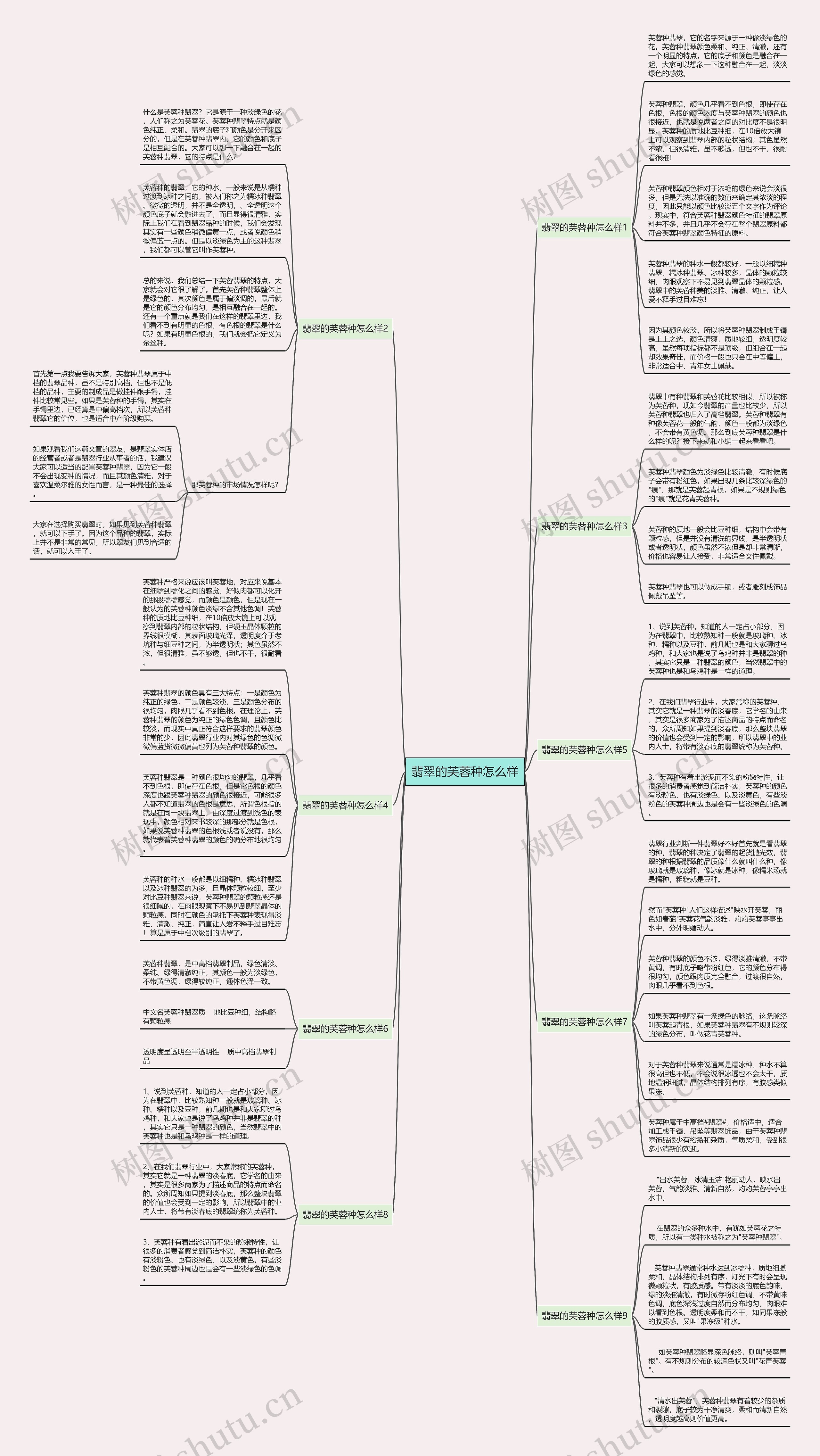 翡翠的芙蓉种怎么样思维导图