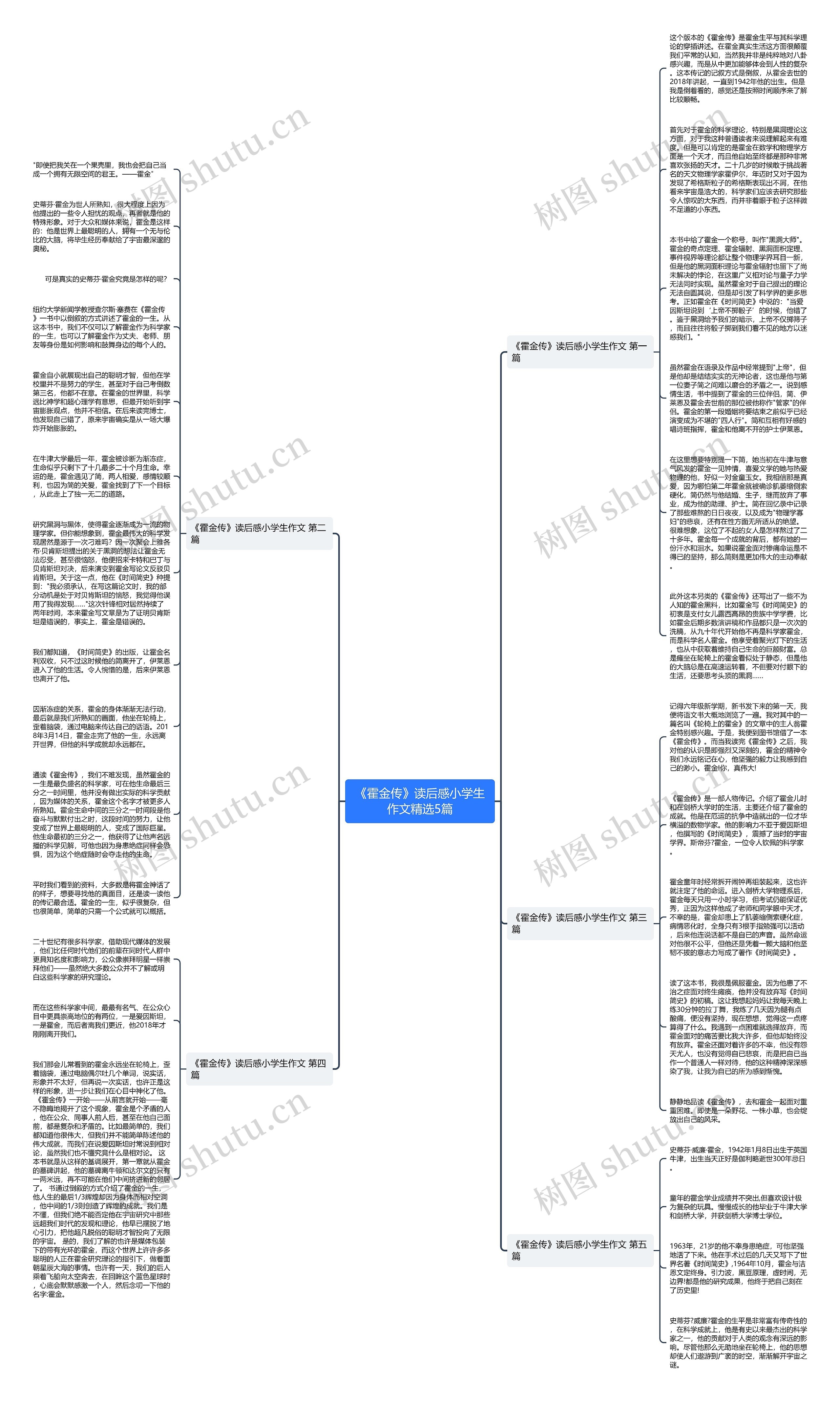 《霍金传》读后感小学生作文精选5篇思维导图