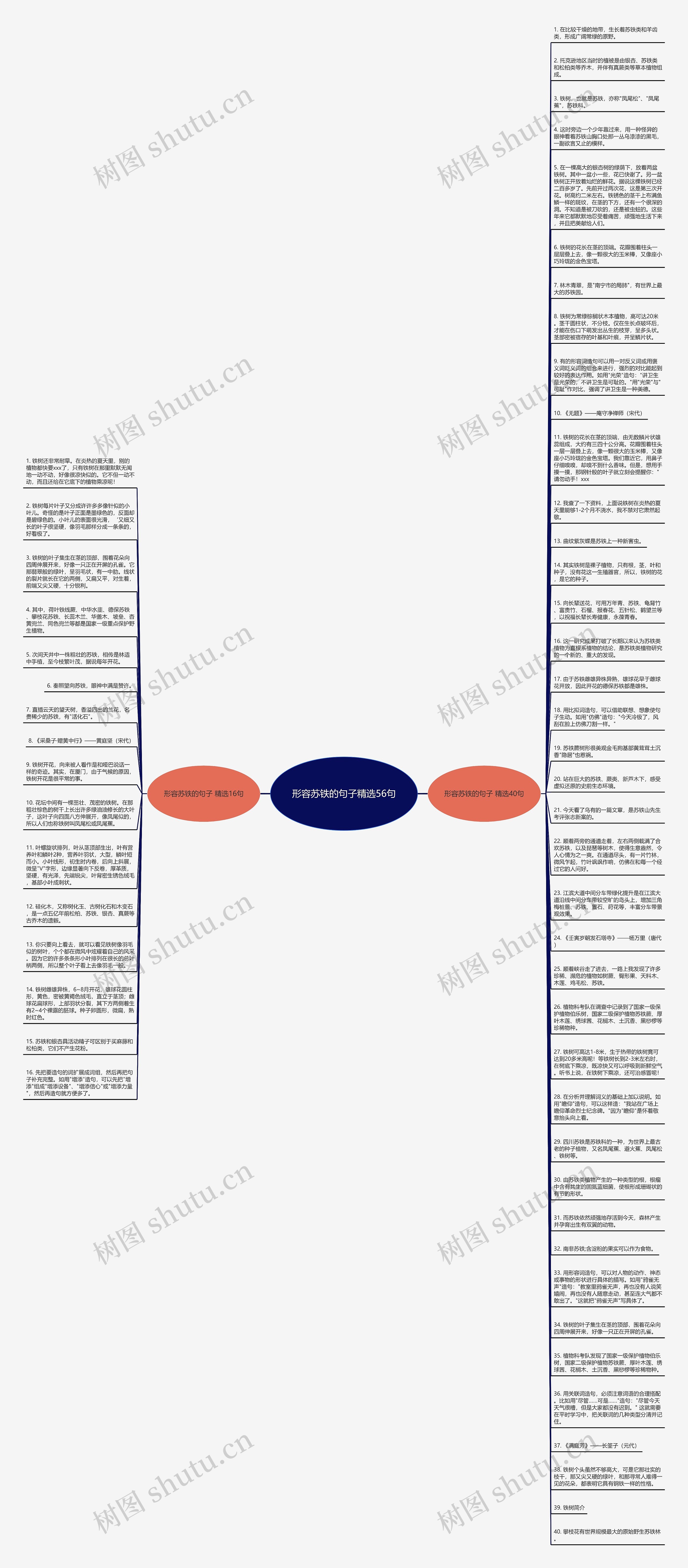 形容苏铁的句子精选56句思维导图