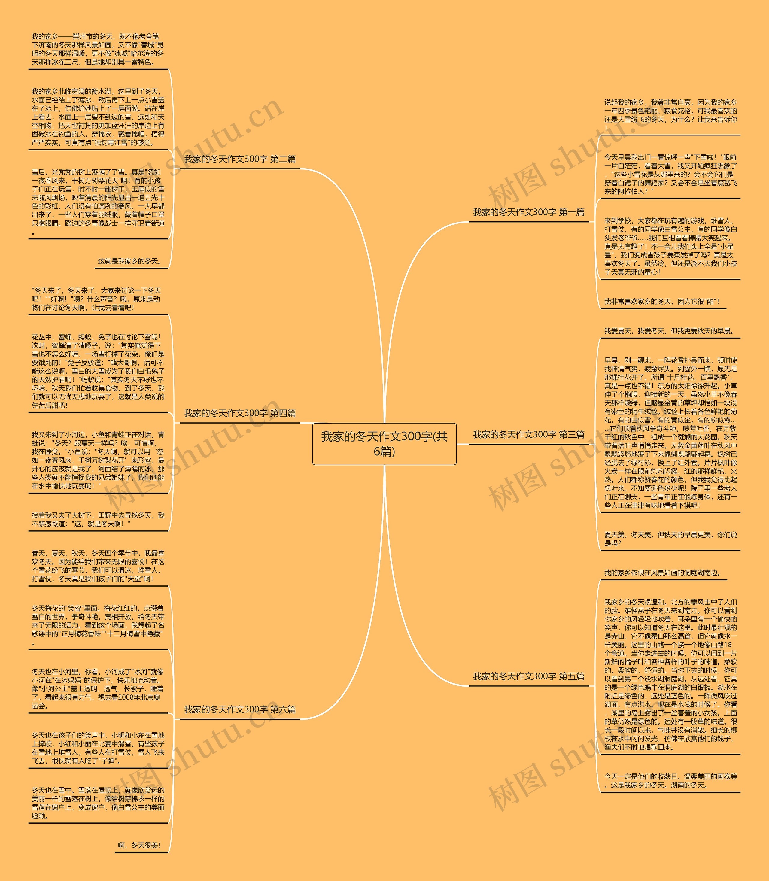 我家的冬天作文300字(共6篇)思维导图