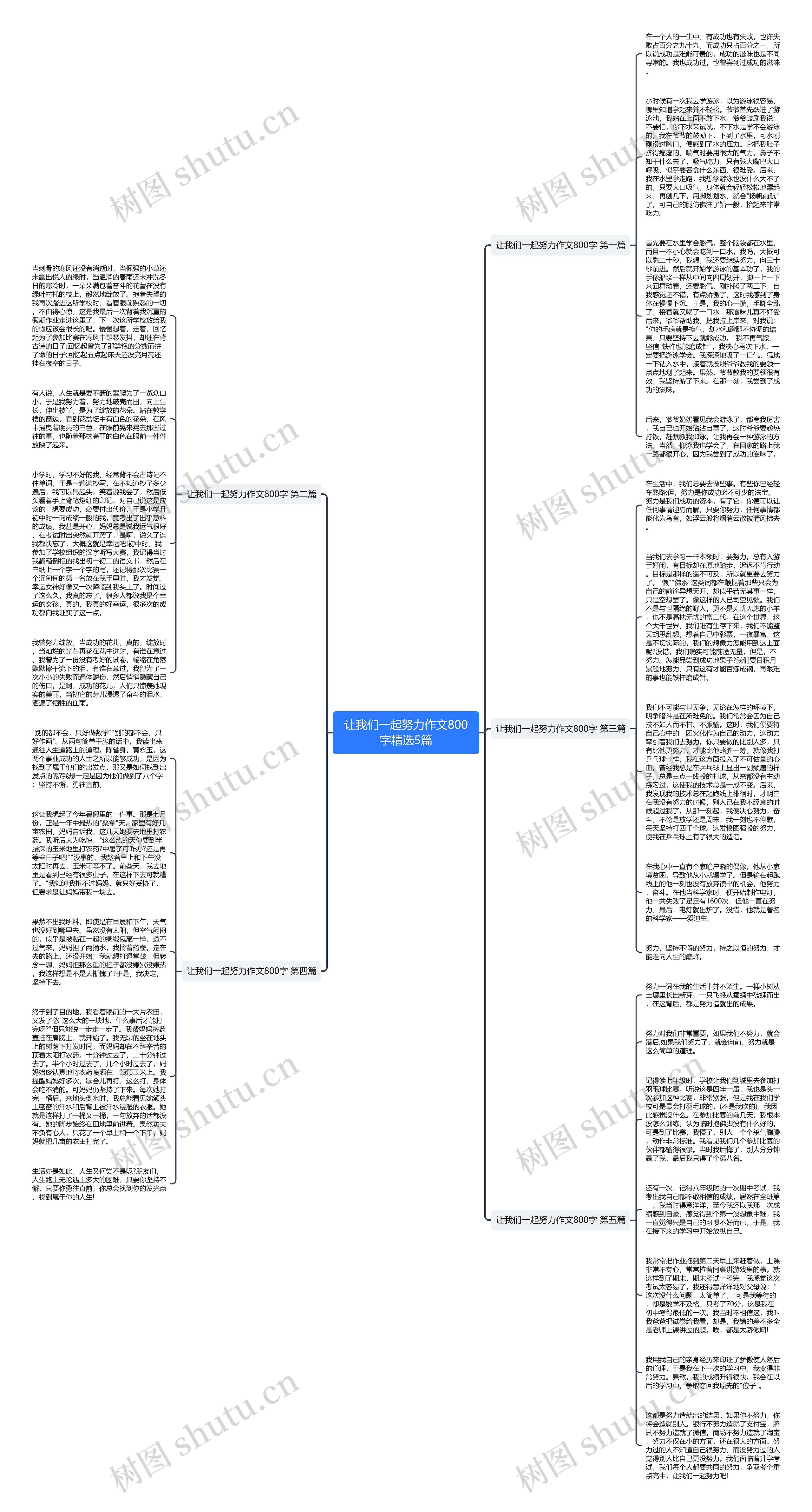 让我们一起努力作文800字精选5篇思维导图