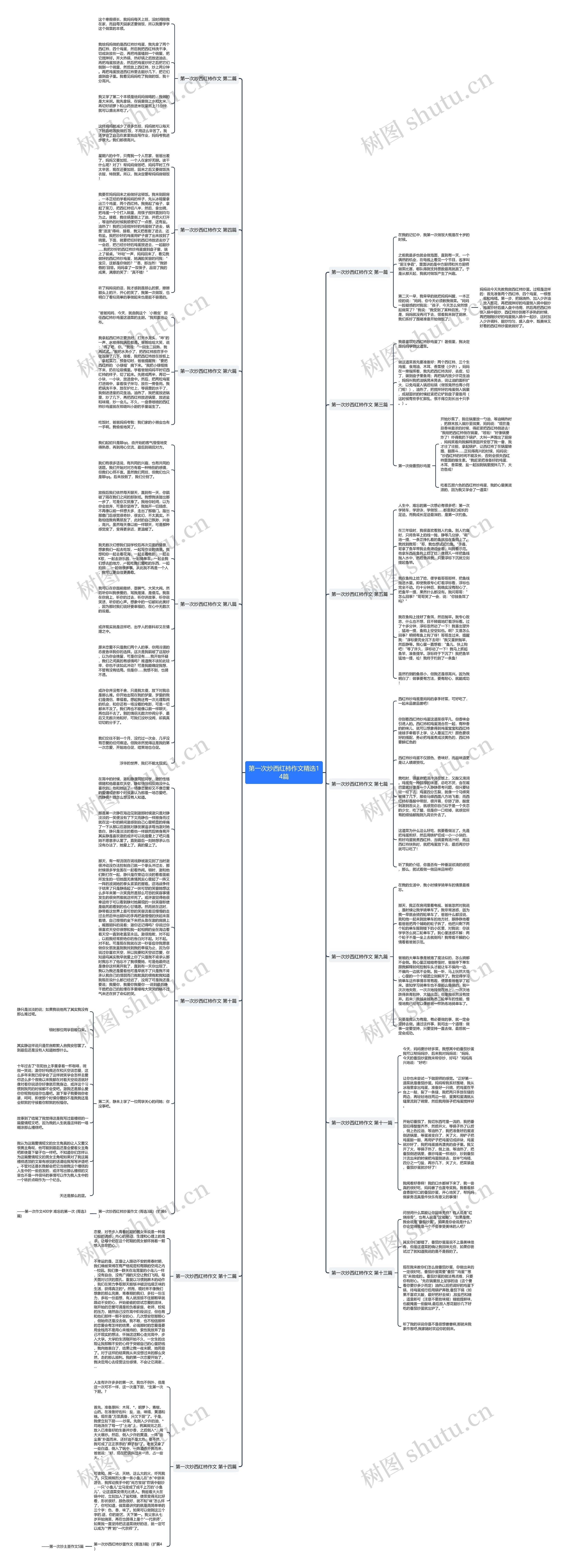 第一次炒西红柿作文精选14篇思维导图