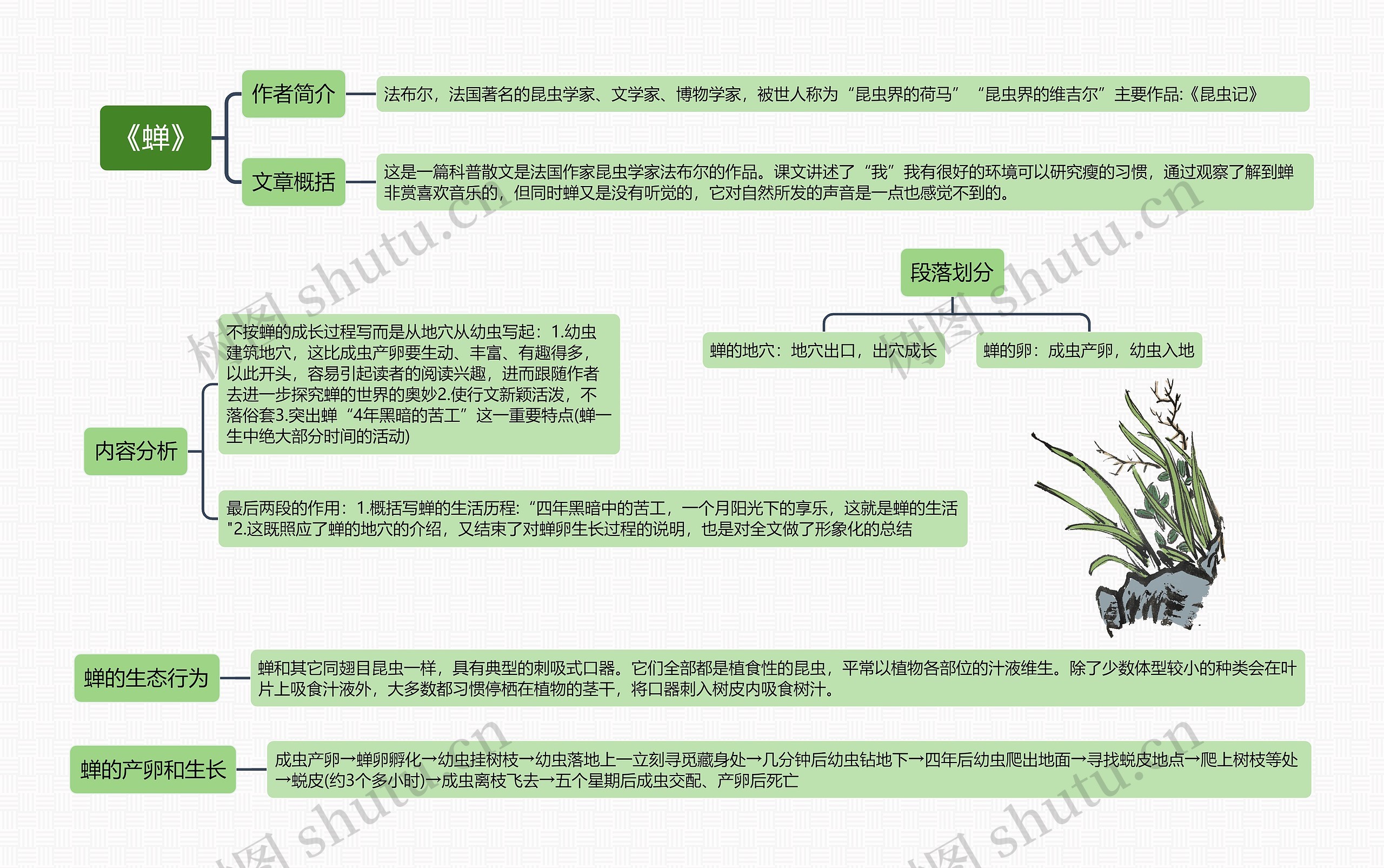 《蝉》思维导图