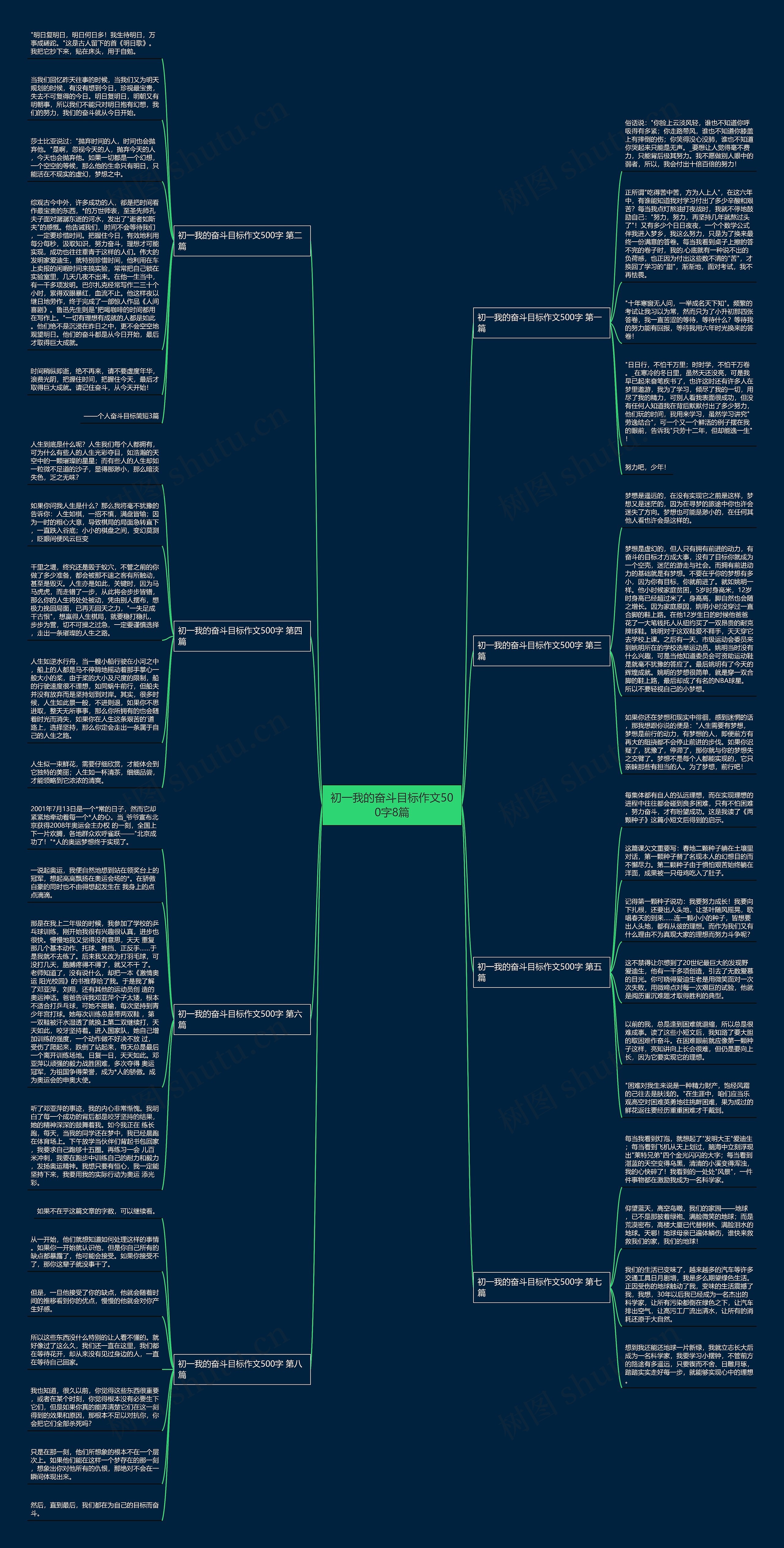 初一我的奋斗目标作文500字8篇思维导图