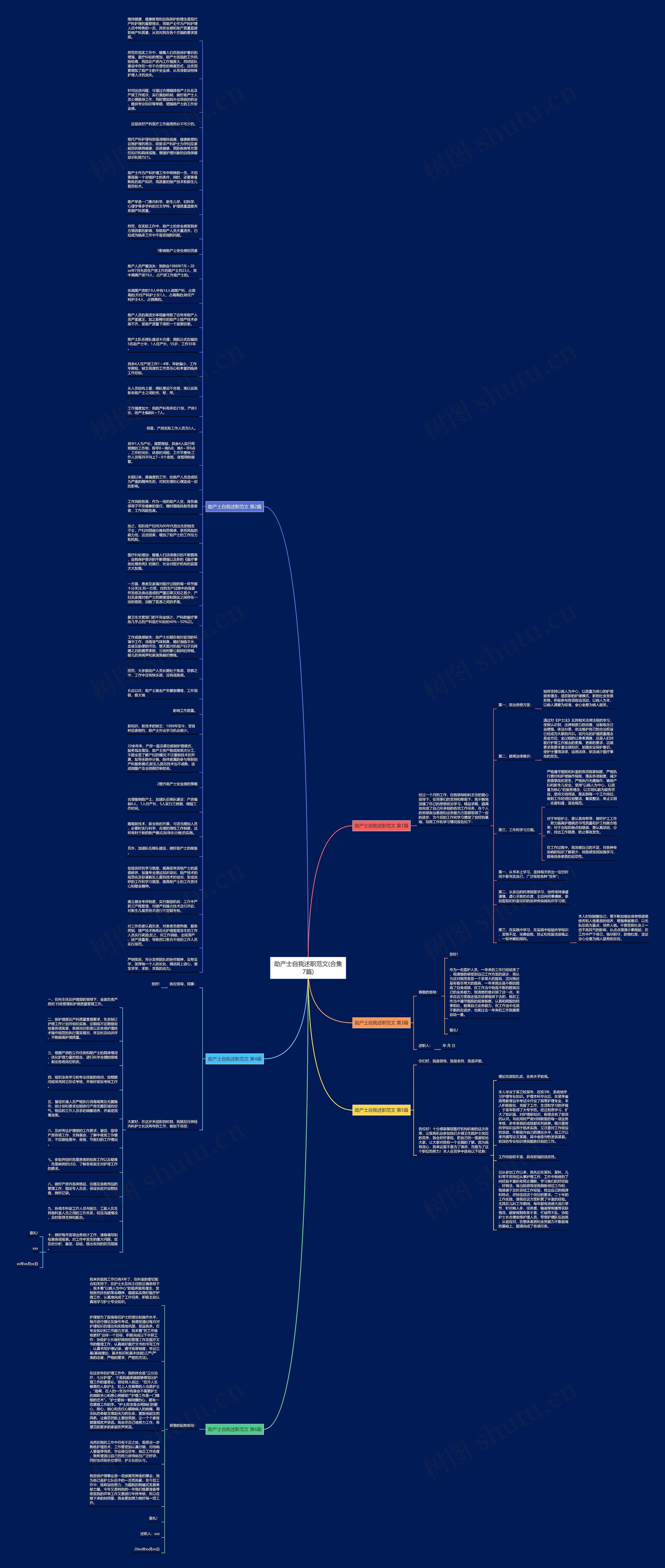 助产士自我述职范文(合集7篇)思维导图
