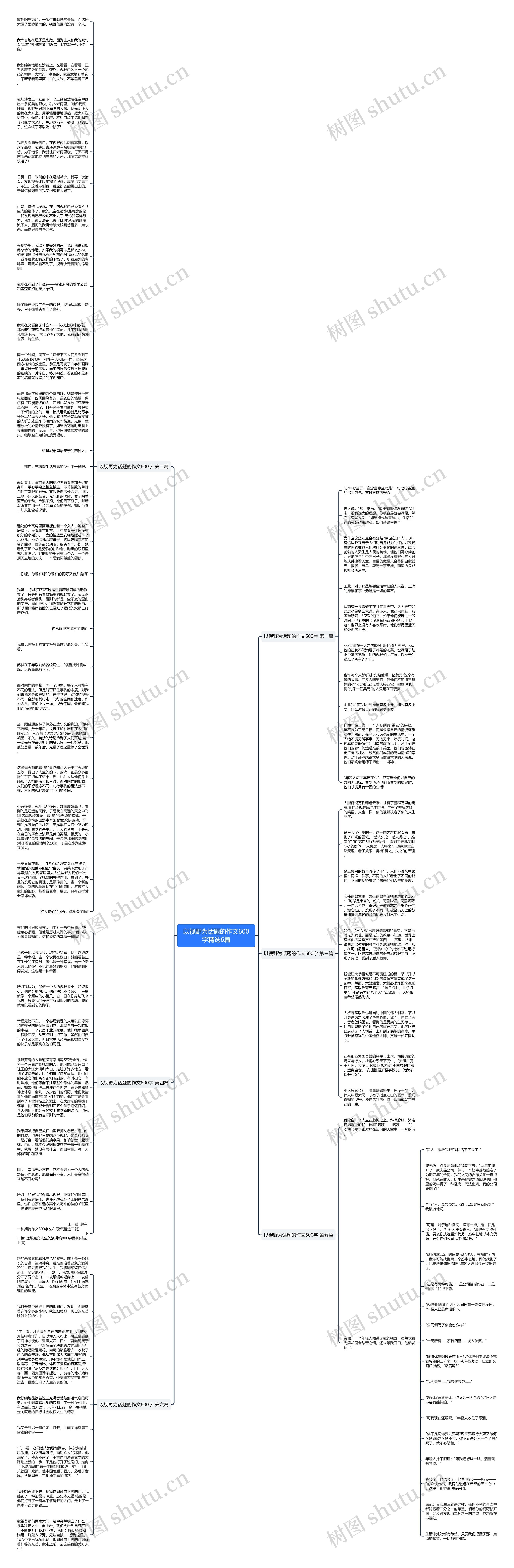 以视野为话题的作文600字精选6篇思维导图