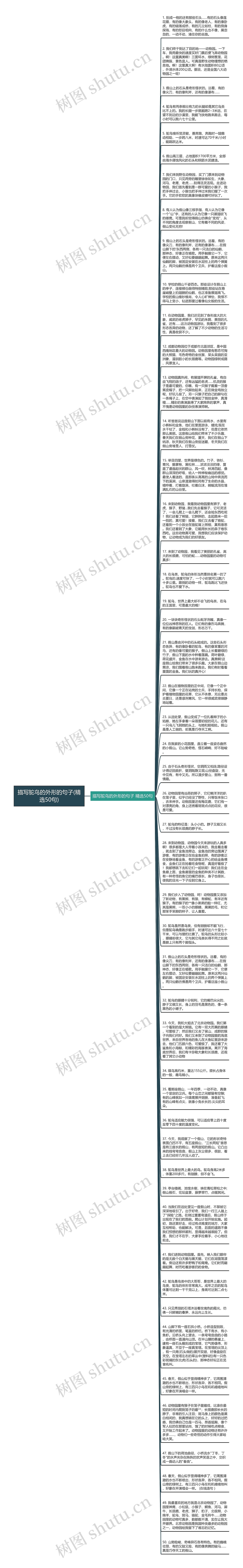 描写鸵鸟的外形的句子(精选50句)思维导图