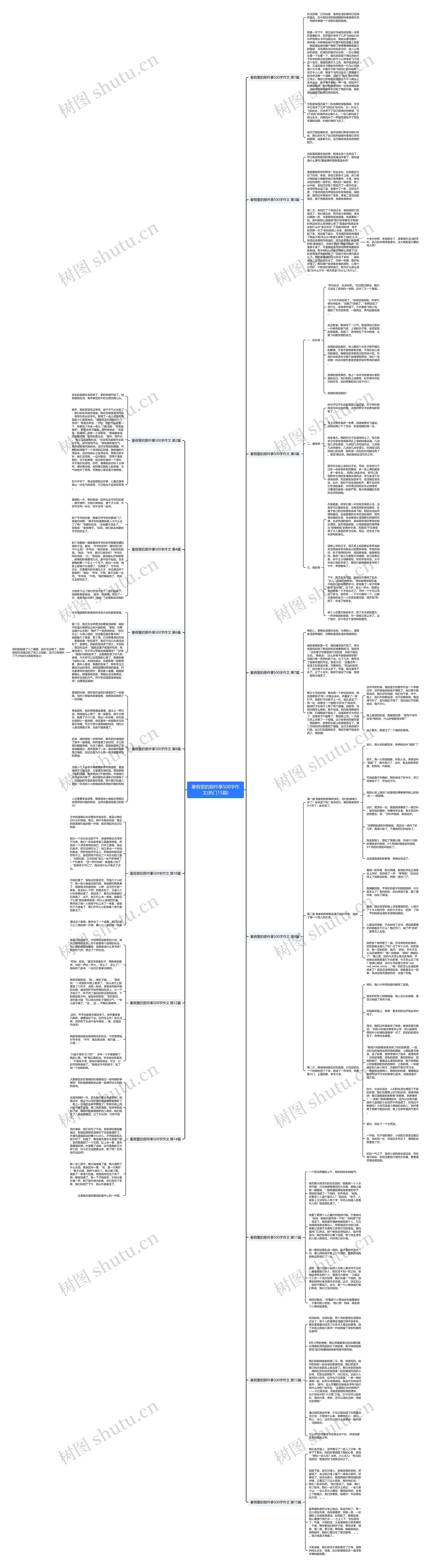 暑假里的那件事500字作文(热门15篇)思维导图